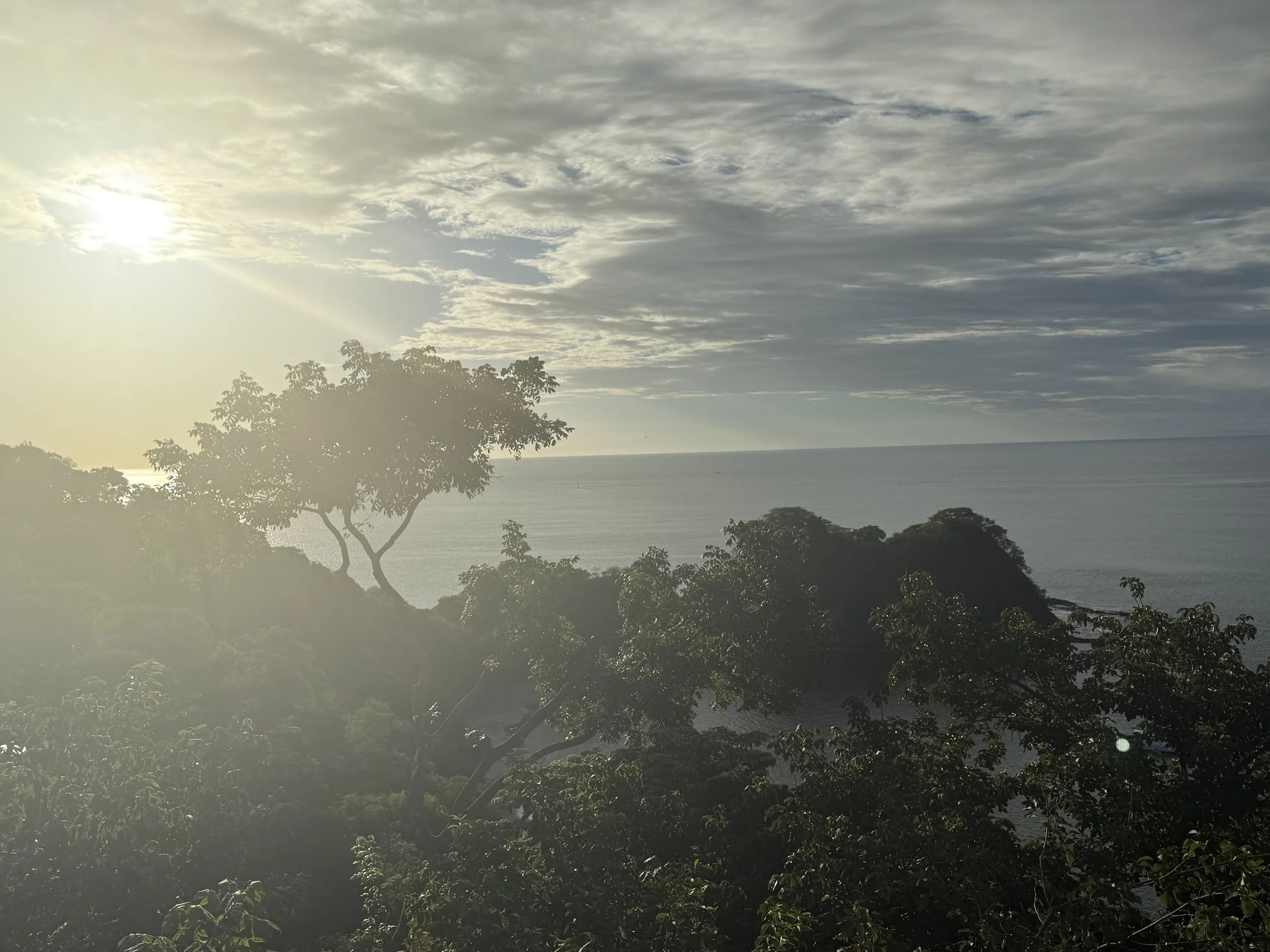 Sunrise over the Pacific seen through rainforest canopy at Ritz-Carlton Reserve, Nekajui, Peninsula Papagayo, Costa Rica