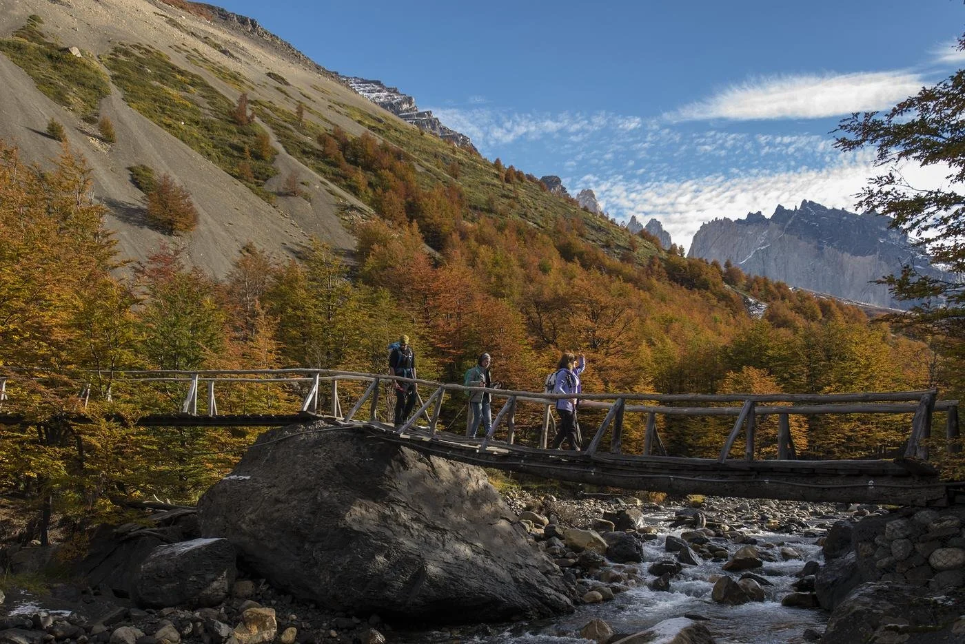Hikers crossing a log bridge through autumn lenga forest below the Cuernos del Paine