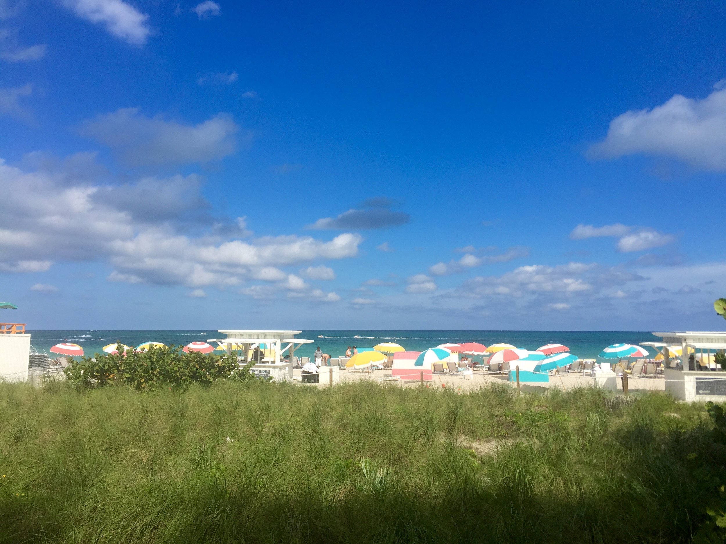 Striped beach umbrellas and loungers behind sea grass dunes on a bright day in Florida