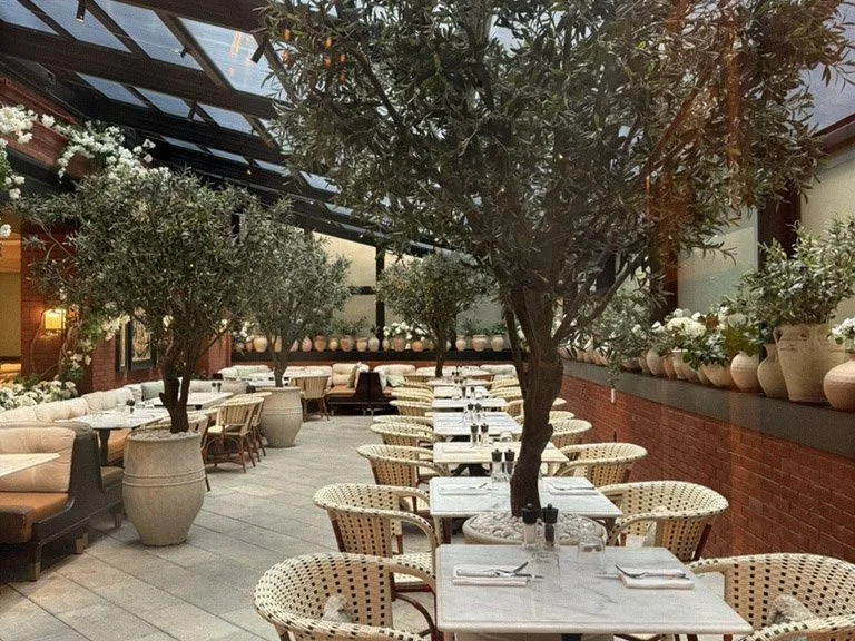 Glass-enclosed courtyard restaurant with potted olive trees and bistro seating at Fouquet's New York