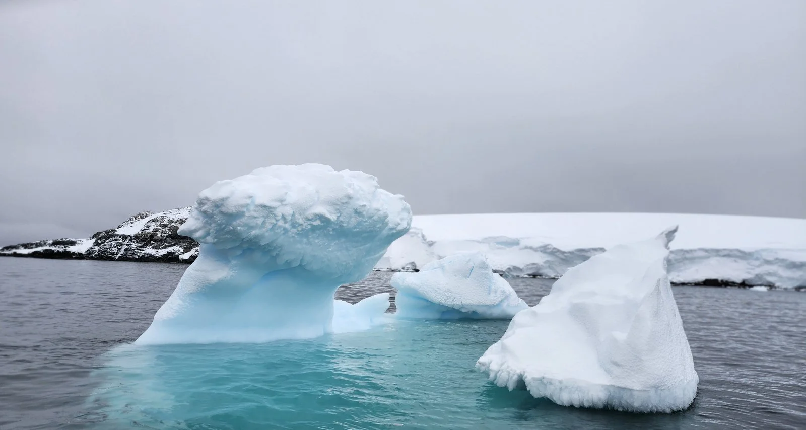 Blue icebergs in calm water along the Antarctic Peninsula