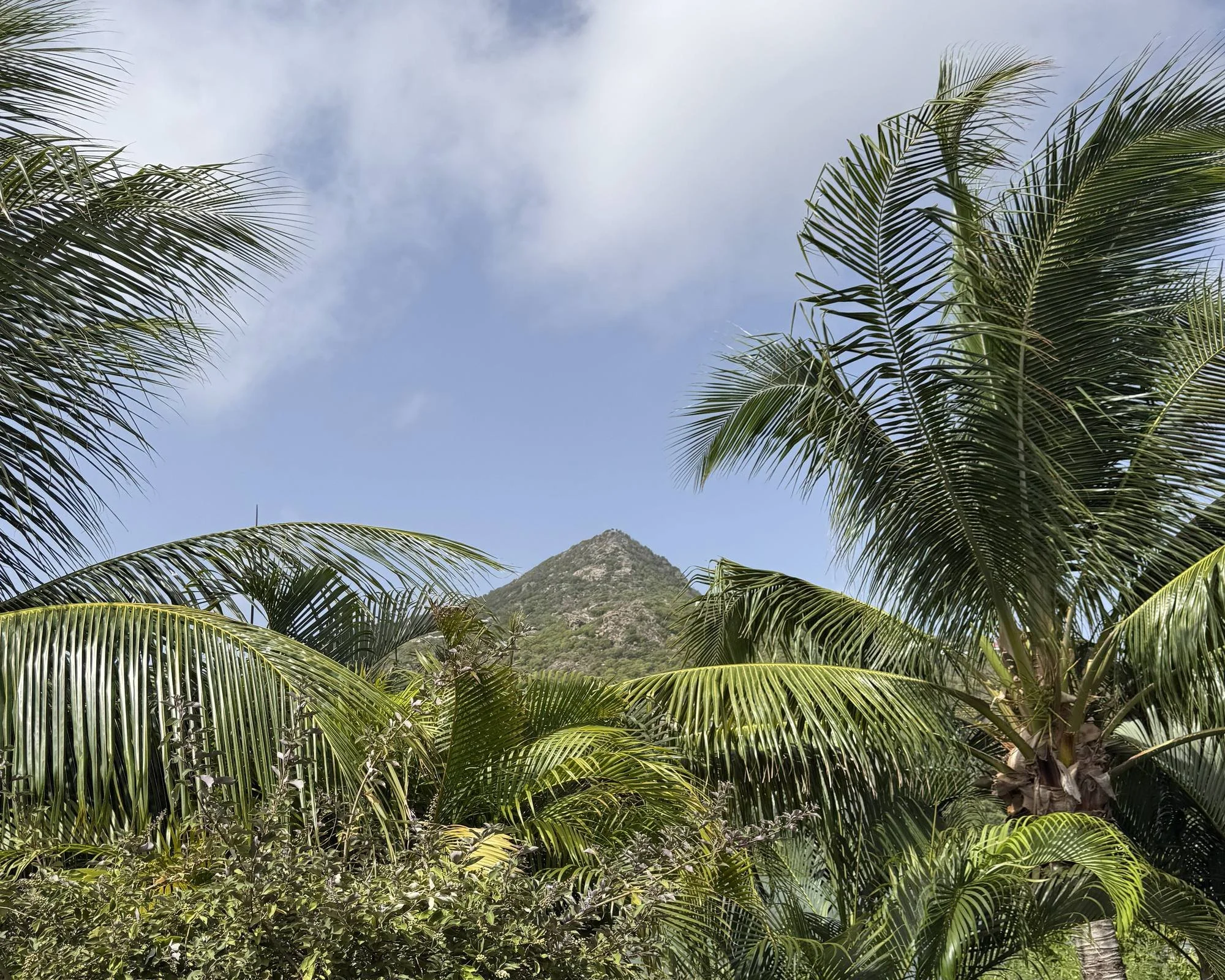 Tropical gardens and green hillside at Le Barthélemy Hotel and Spa, Grand Cul-de-Sac, St. Barth
