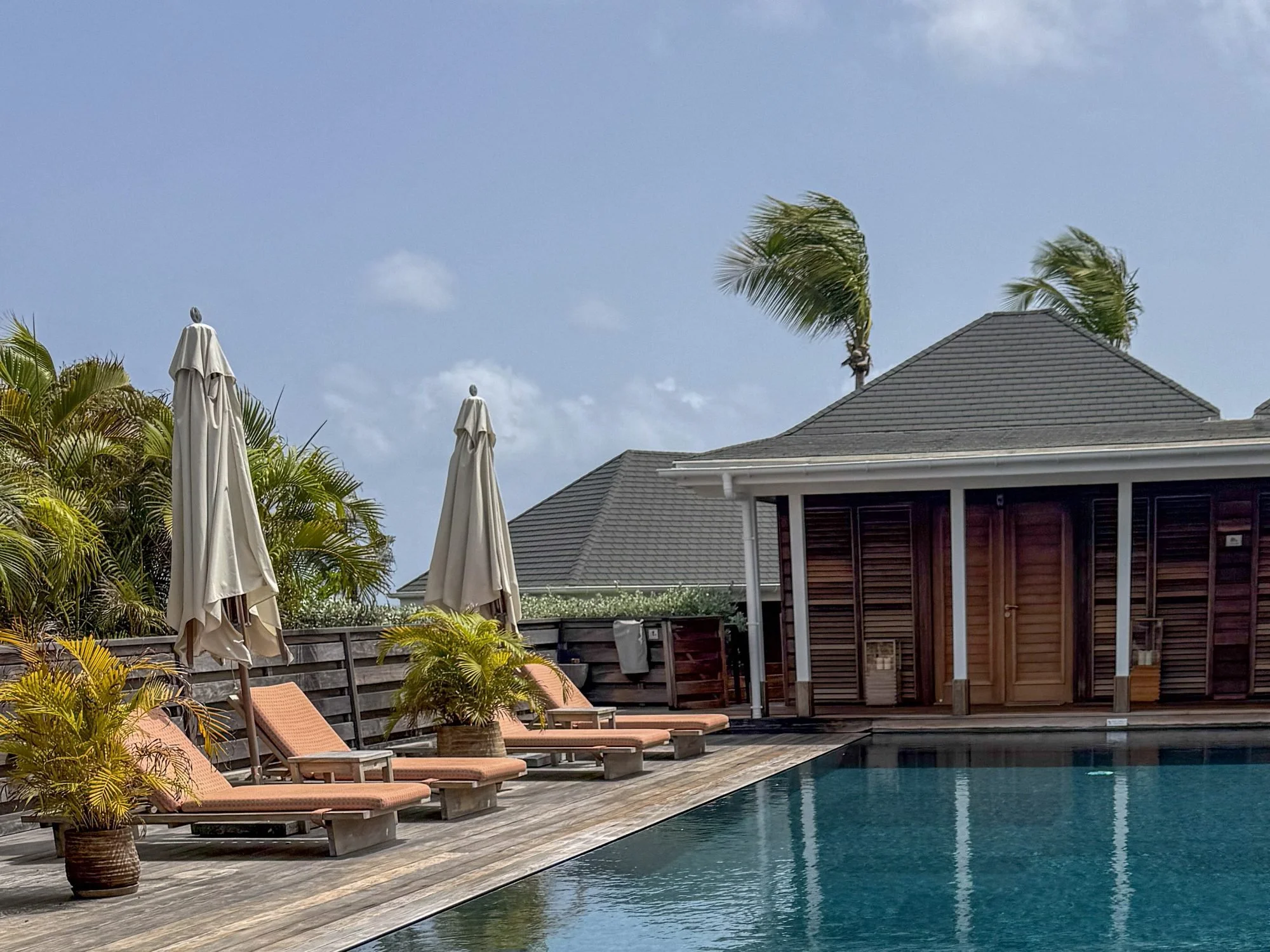 Quiet adults-only garden pool surrounded by tropical palm trees and lounge chairs.