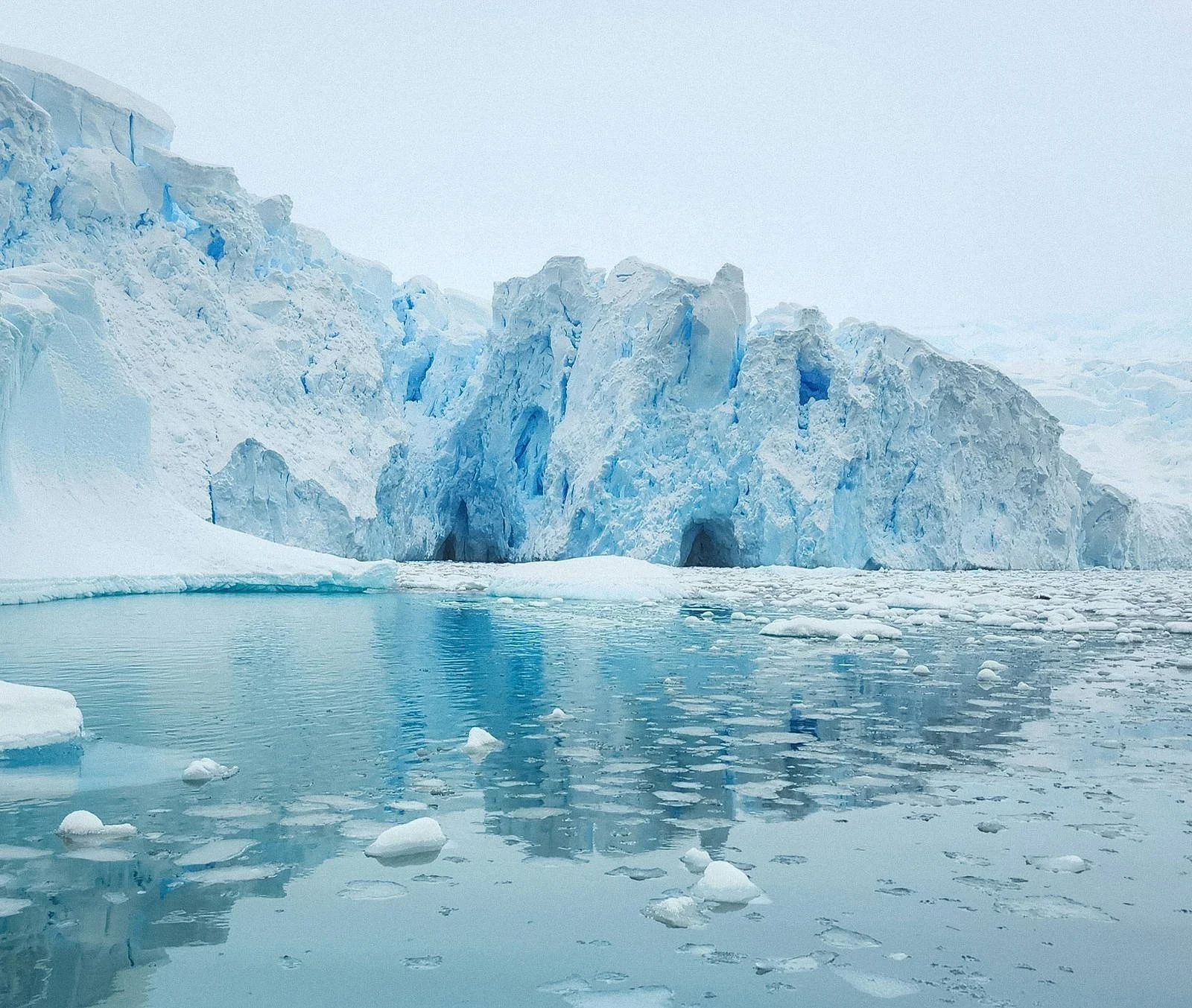 Blue glacier face and unbroken white snow above still water scattered with brash ice, Antarctic Peninsula in December.
