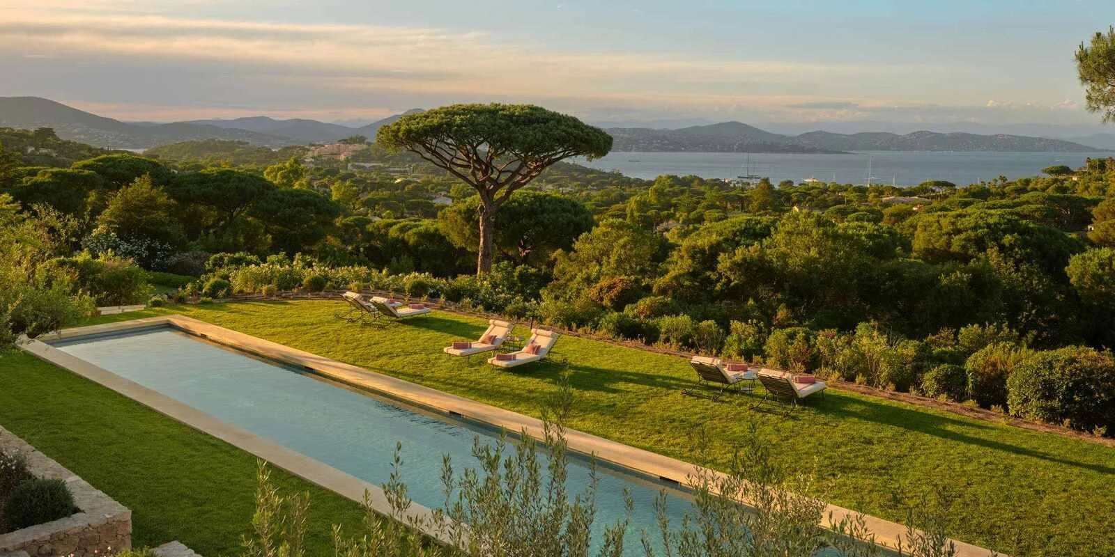 messardiere-st-tropez-villa-pool-pine-trees.jpeg