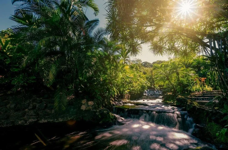 Tabacon Thermal Resort hot springs and thermal rivers surrounded by jungle in Arenal, Costa Rica