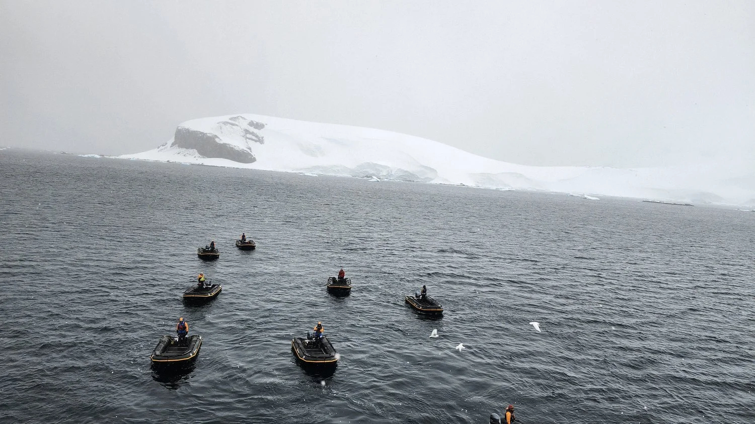 Expedition Zodiacs preparing for an Antarctic shore landing in falling snow