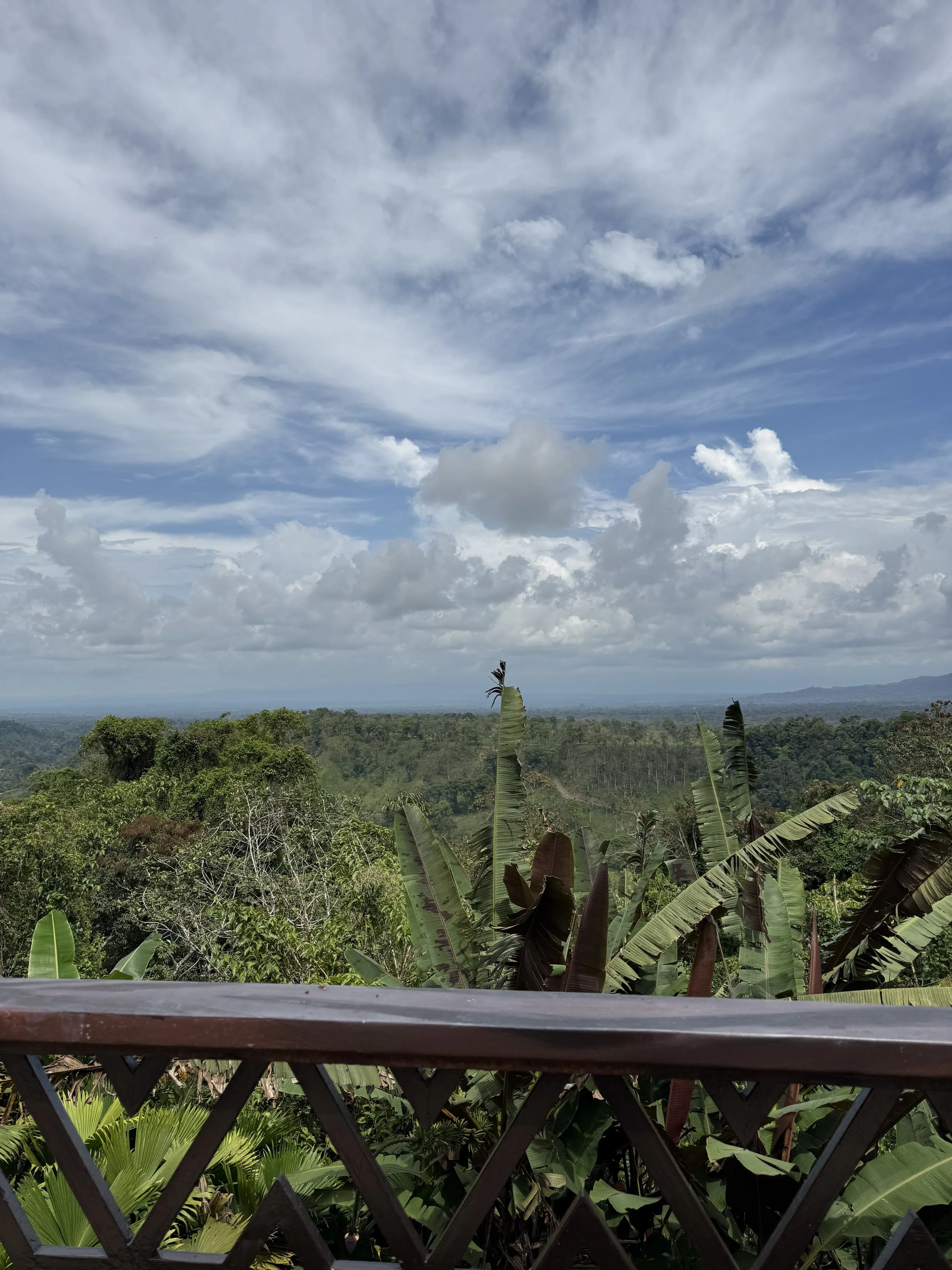 Rainforest canopy and banana leaves stretching toward distant mountains from a private balcony, Costa Rica