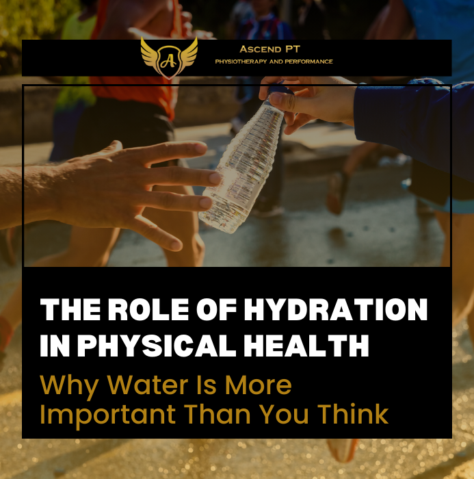The Role of Hydration in Physical Health: Why Water Is More Important Than You Think