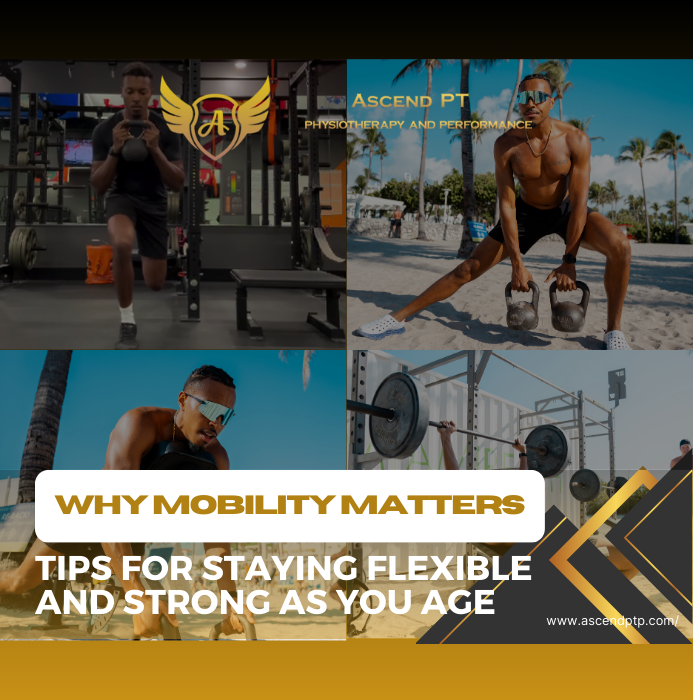 Why Mobility Matters: Tips for Staying Flexible and Strong as You Age