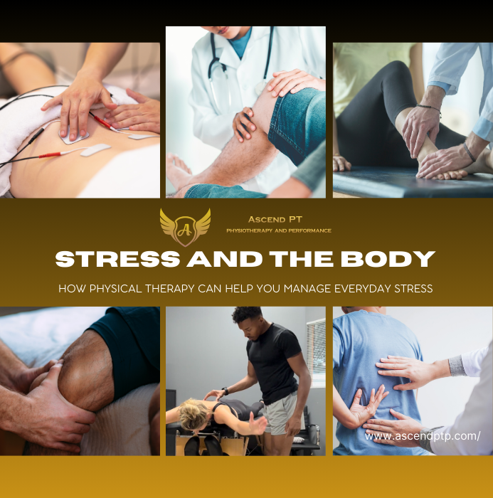 Stress and the Body: How Physical Therapy Can Help You Manage Everyday Stress