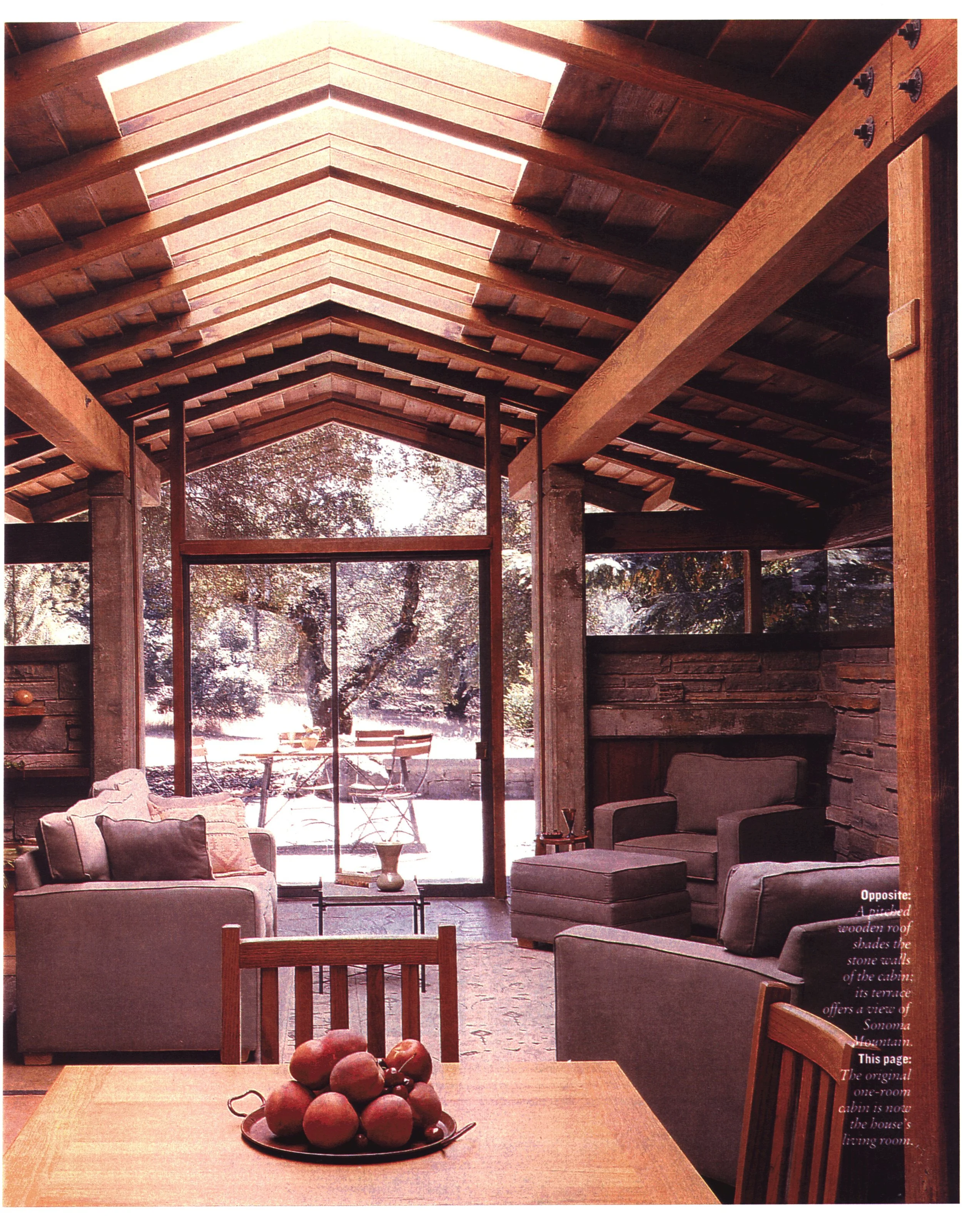 Stein NY Times 2.jpg