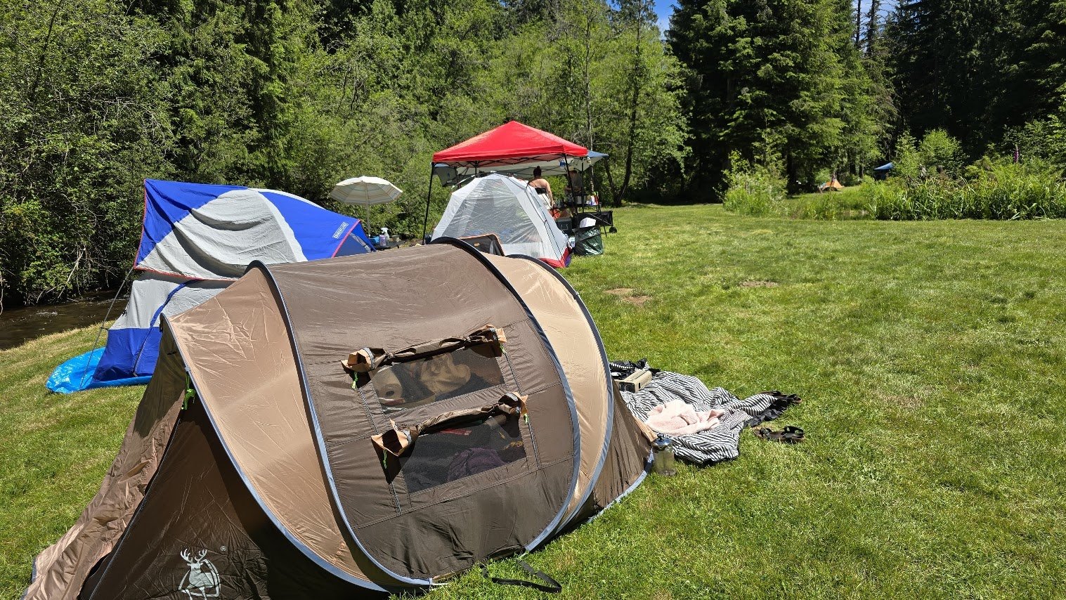 20240622_135914.jpg