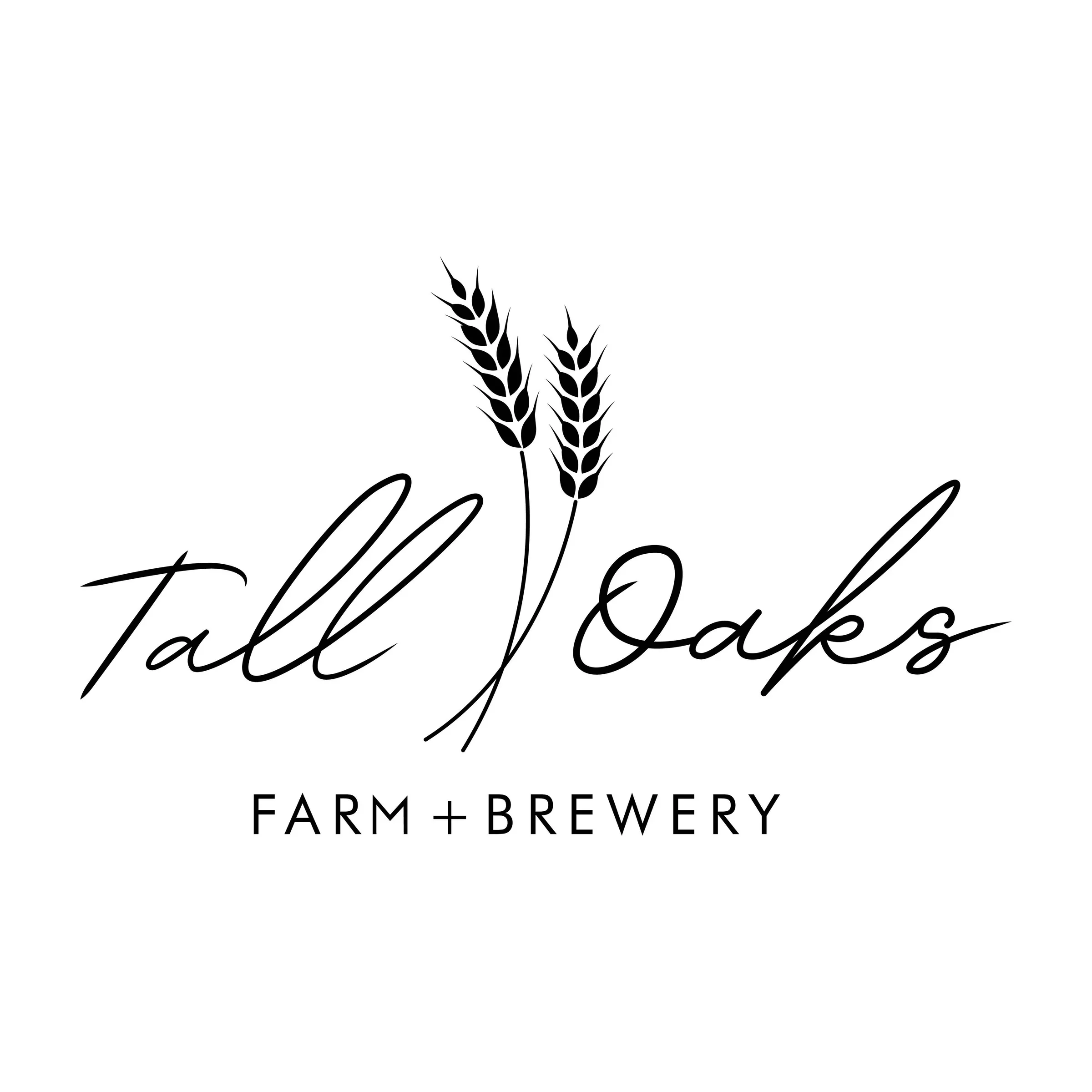 Summer Fest at Tall Oaks Brewery 