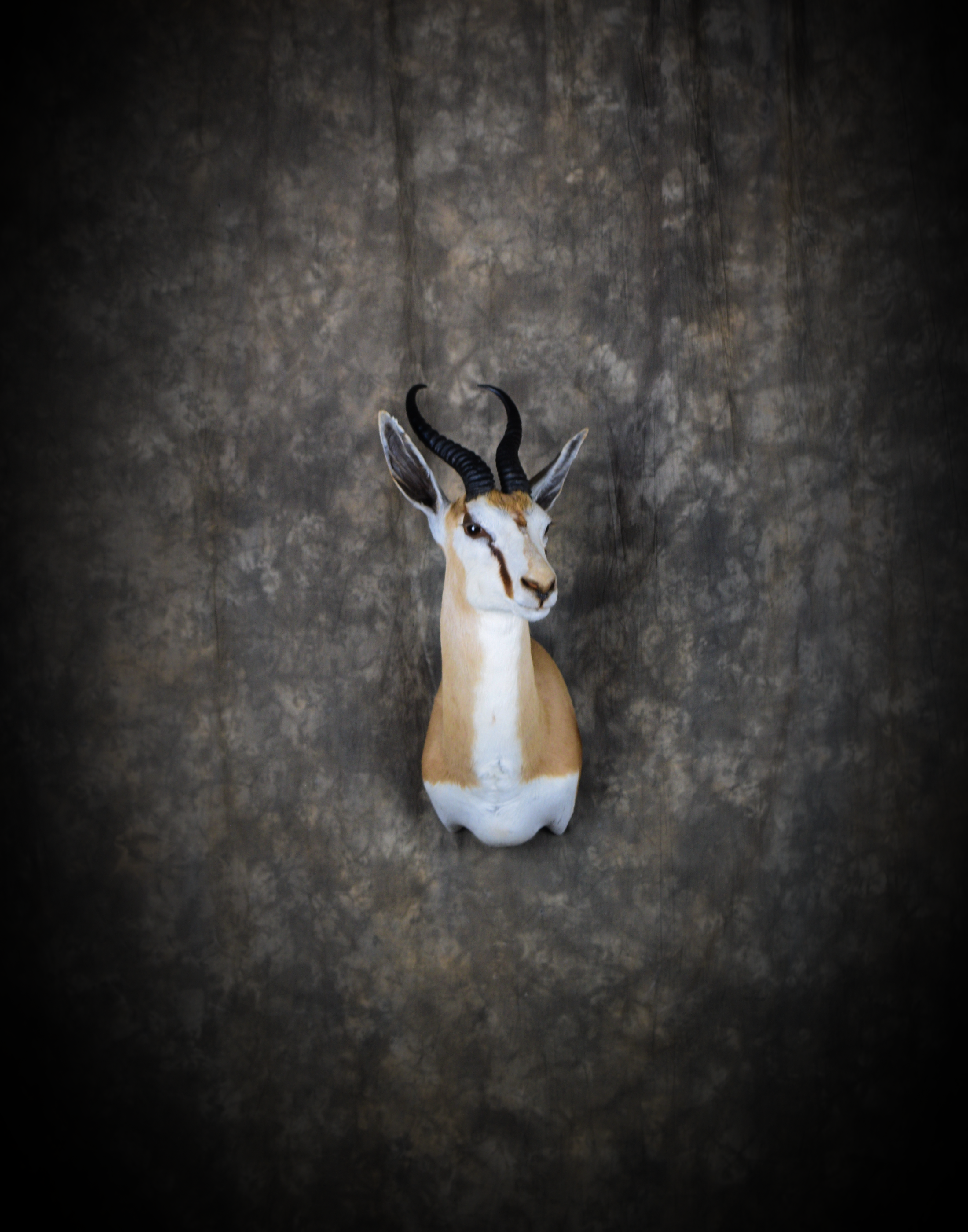 DSC_5241.png