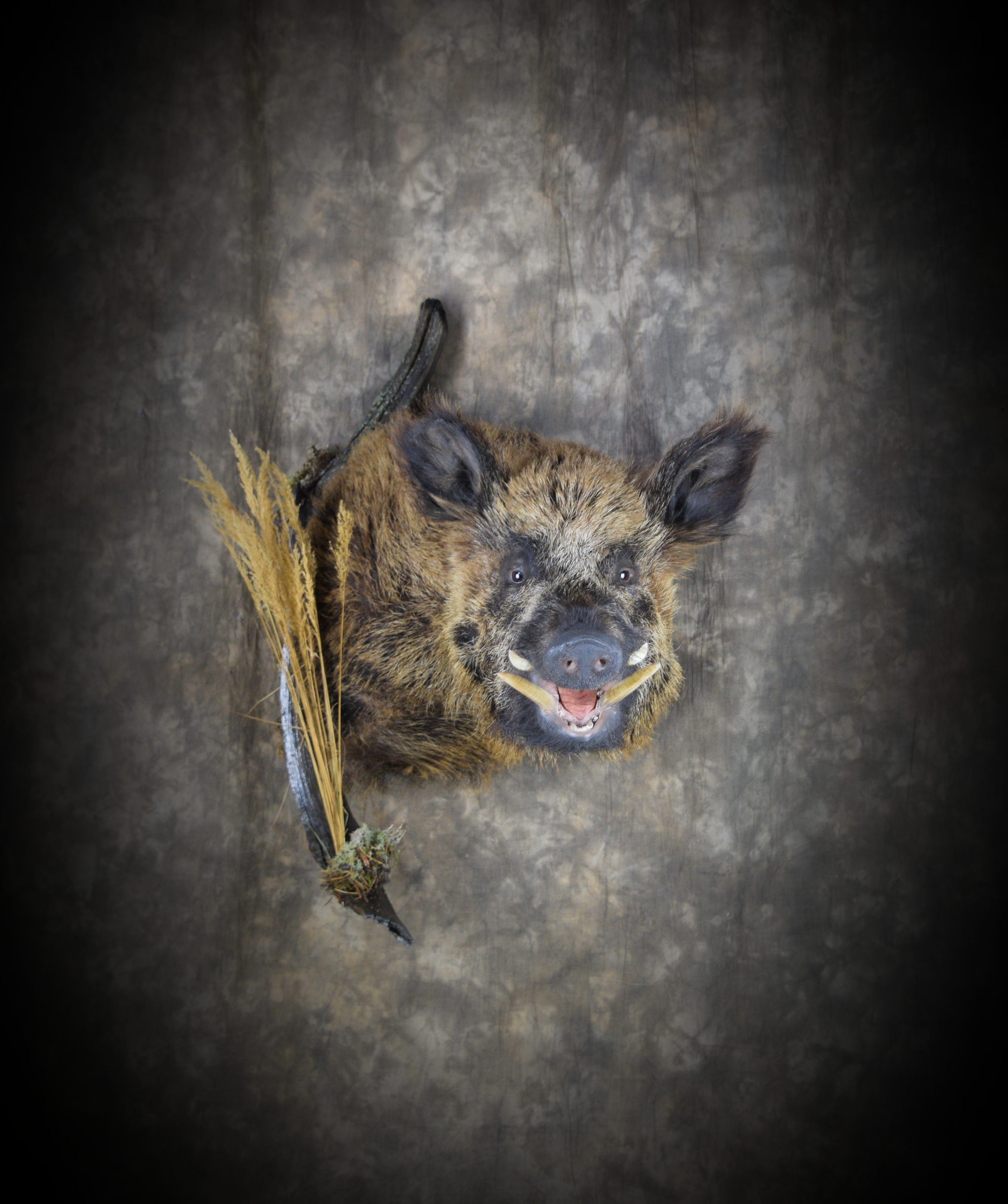 DSC_5515.png