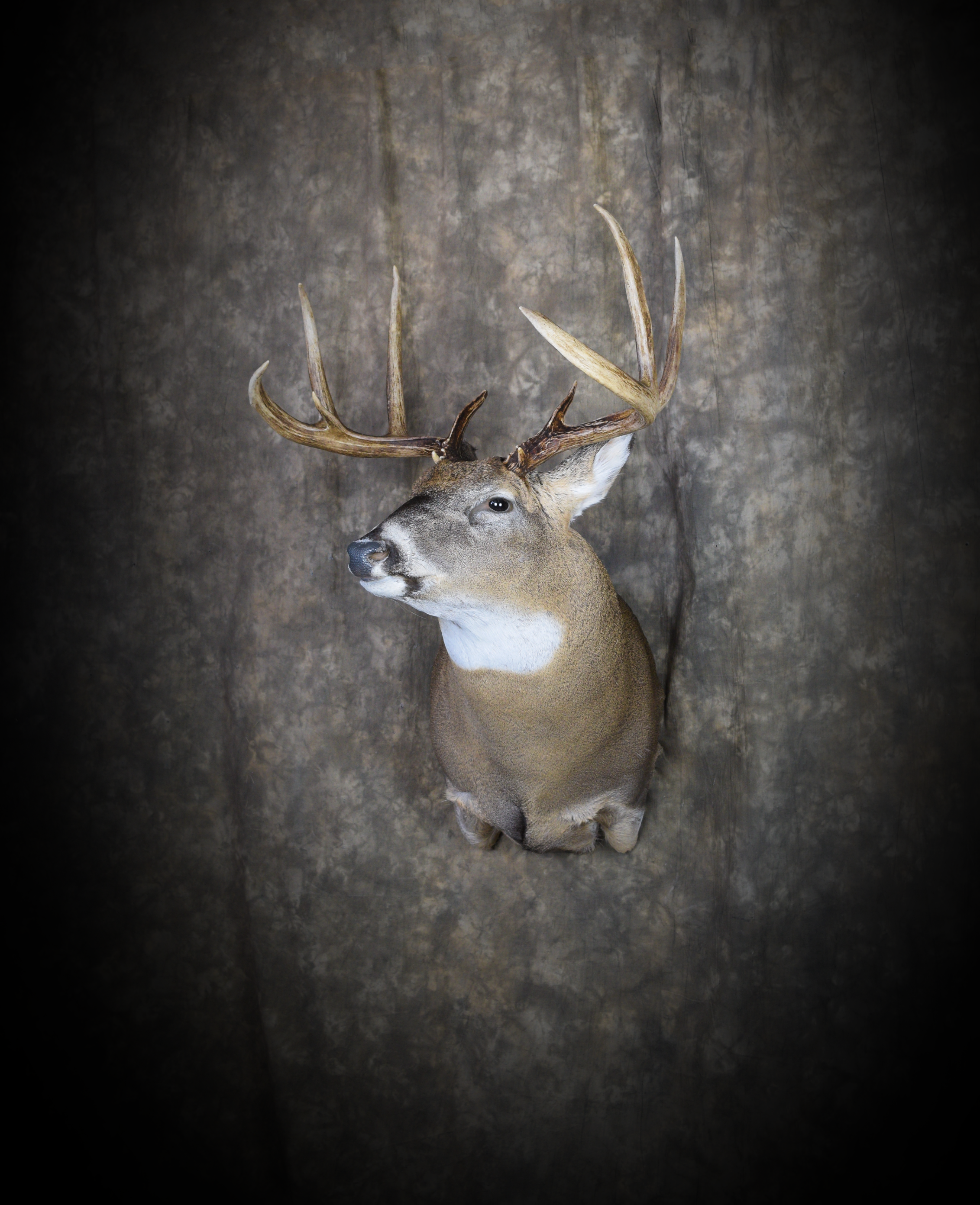 DSC_5472.png