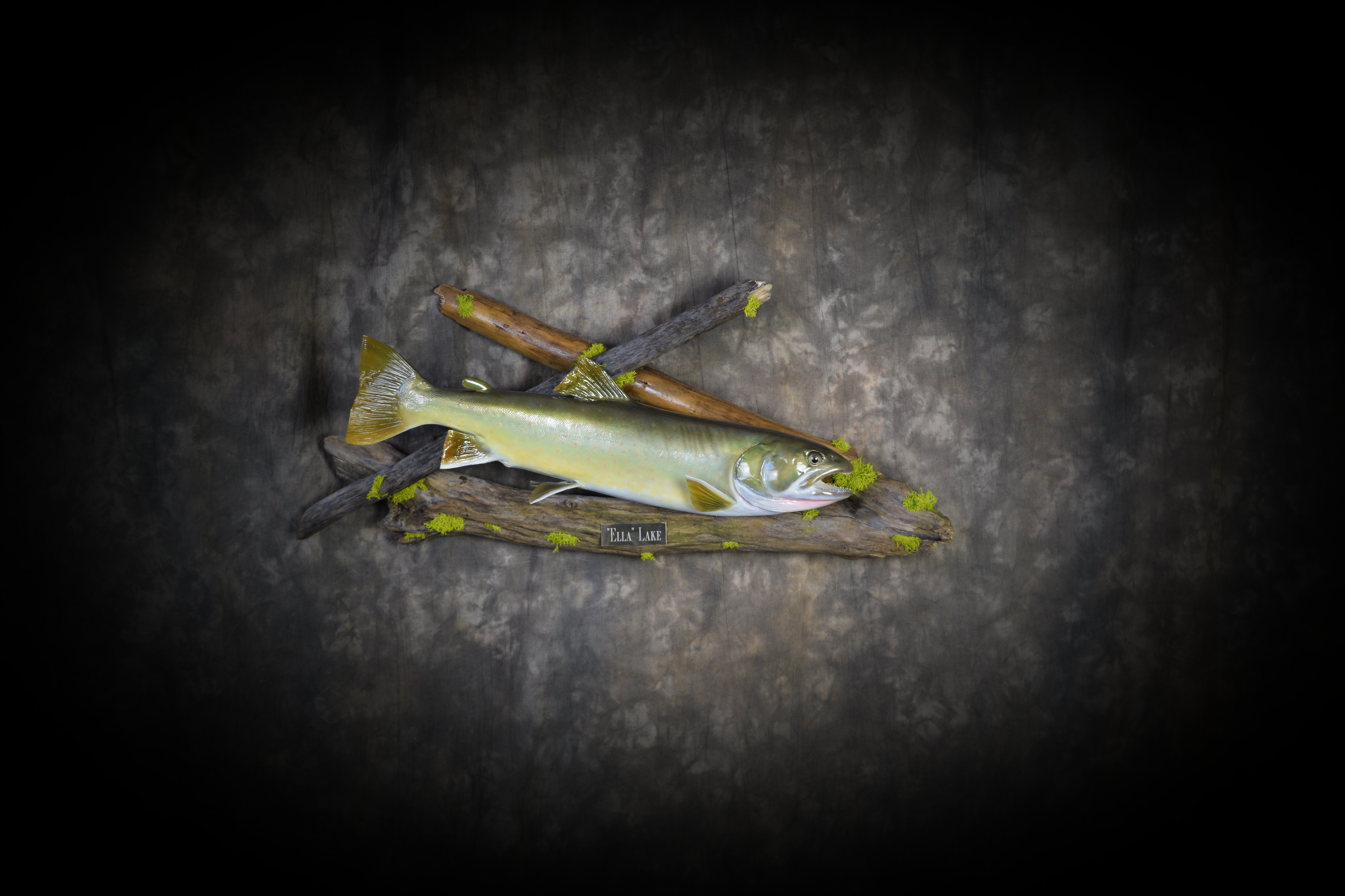DSC_5266.png