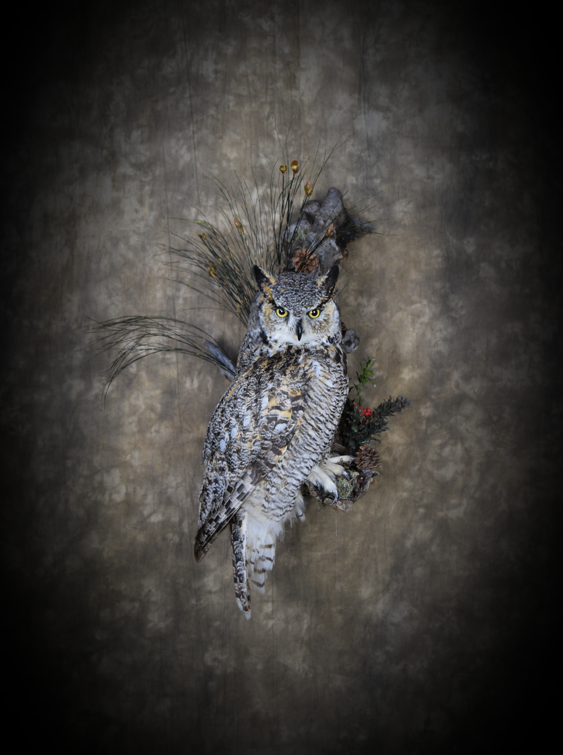 DSC_6384.png