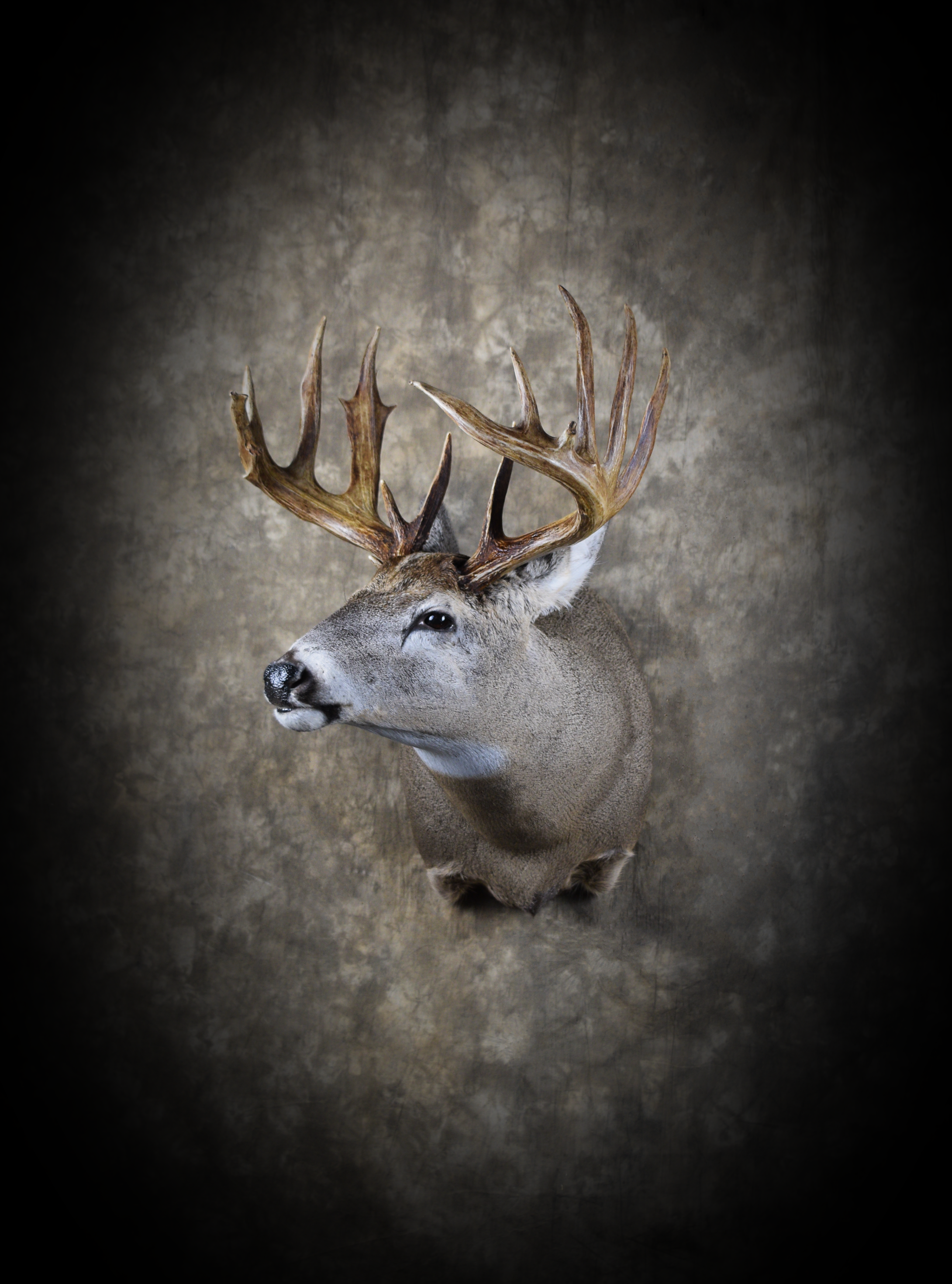 DSC_6330.png