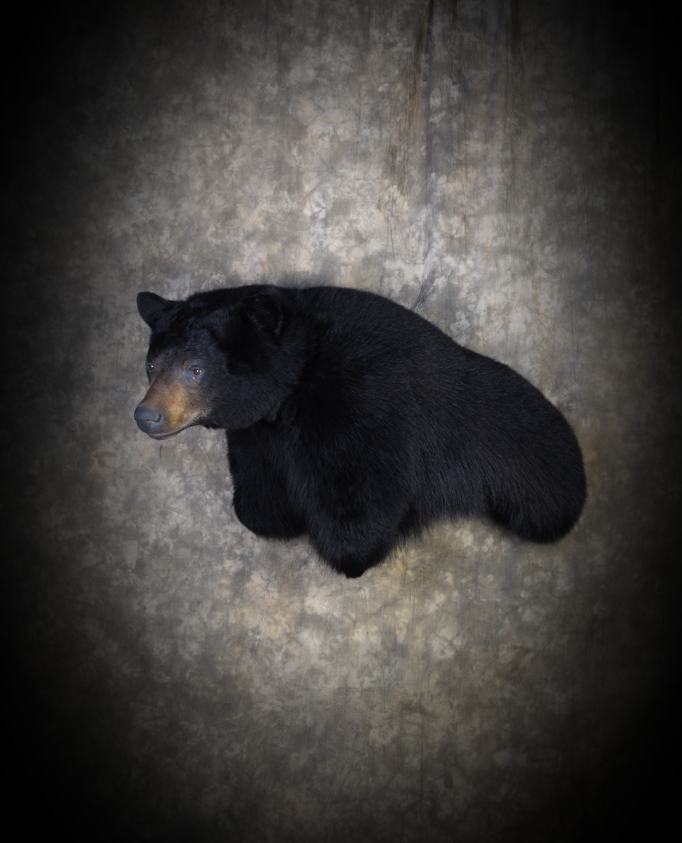 DSC_5969.png
