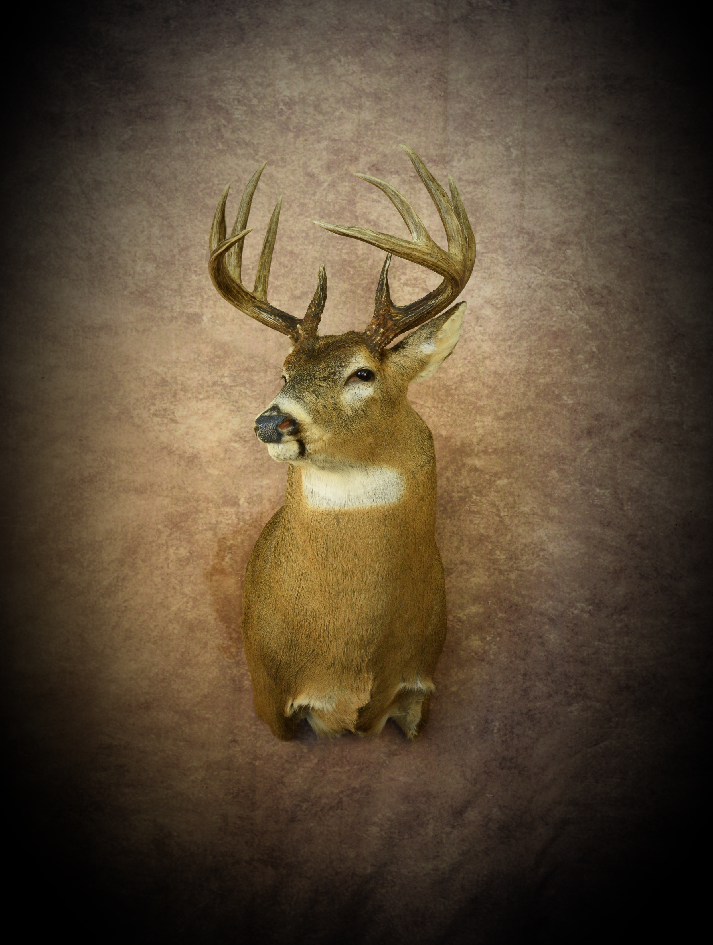 DSC_3071(1).png