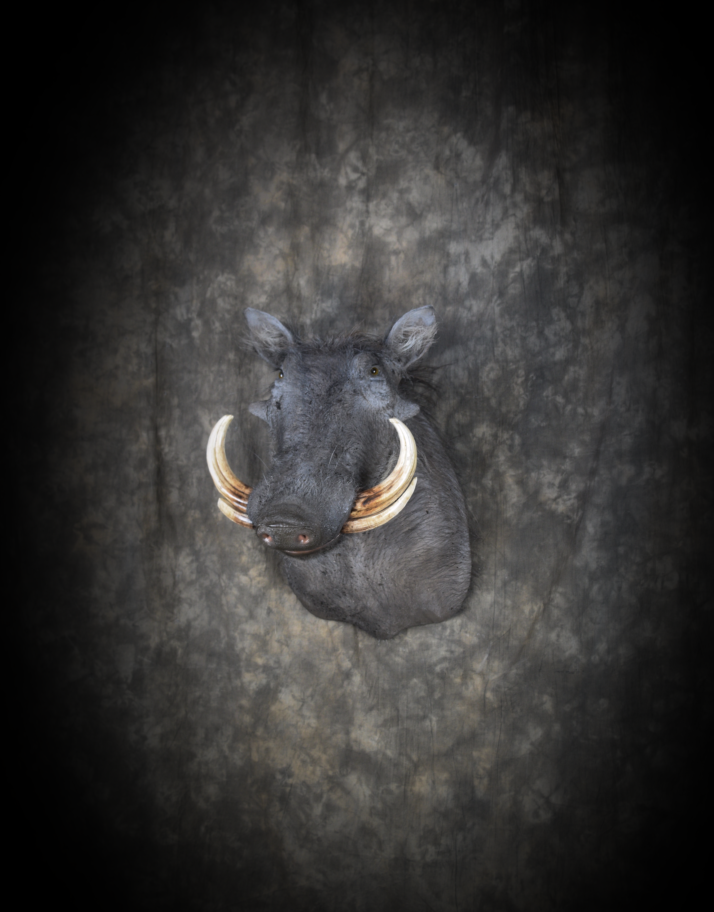 DSC_5227.png
