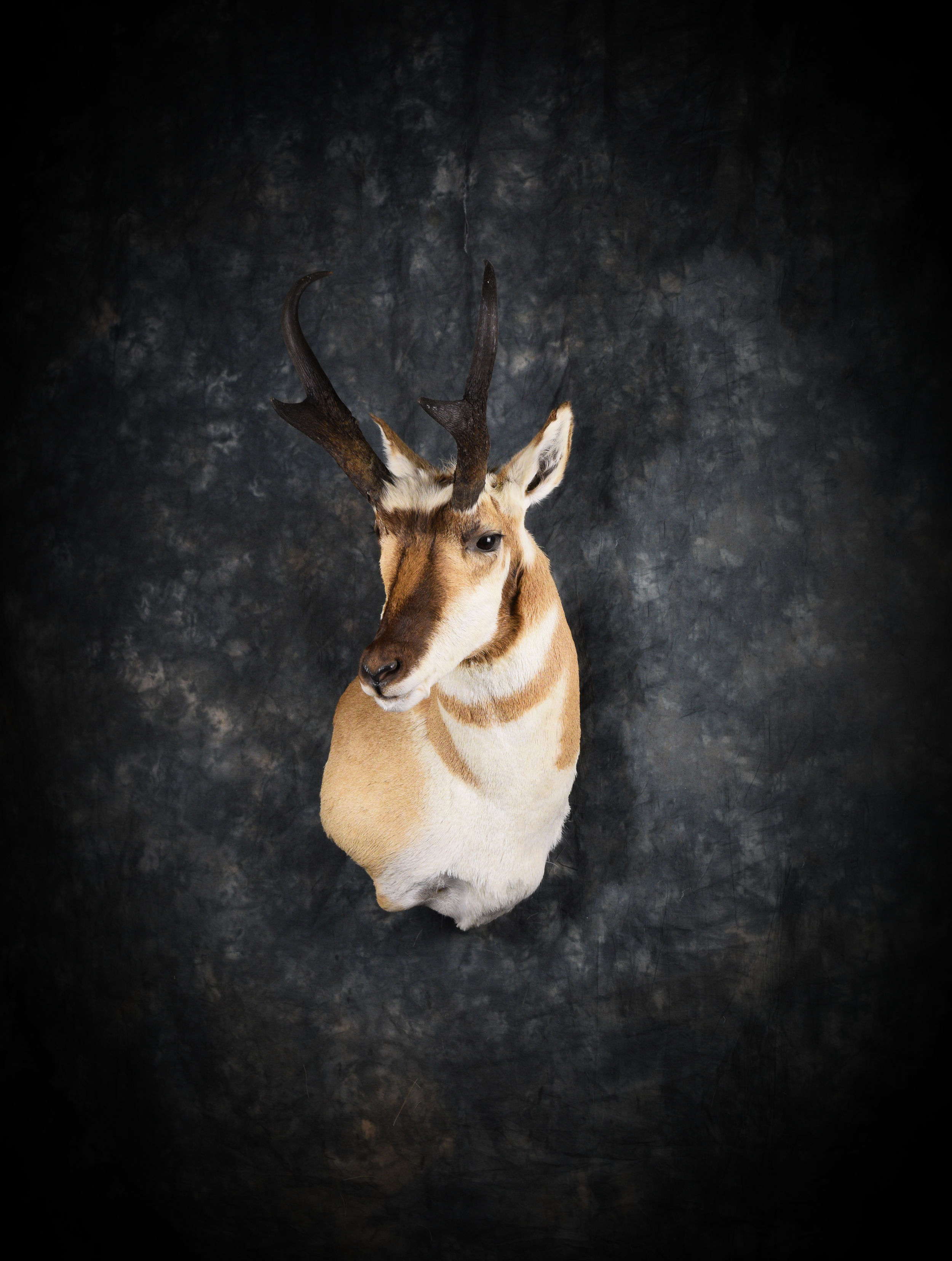 DSC_6532.png