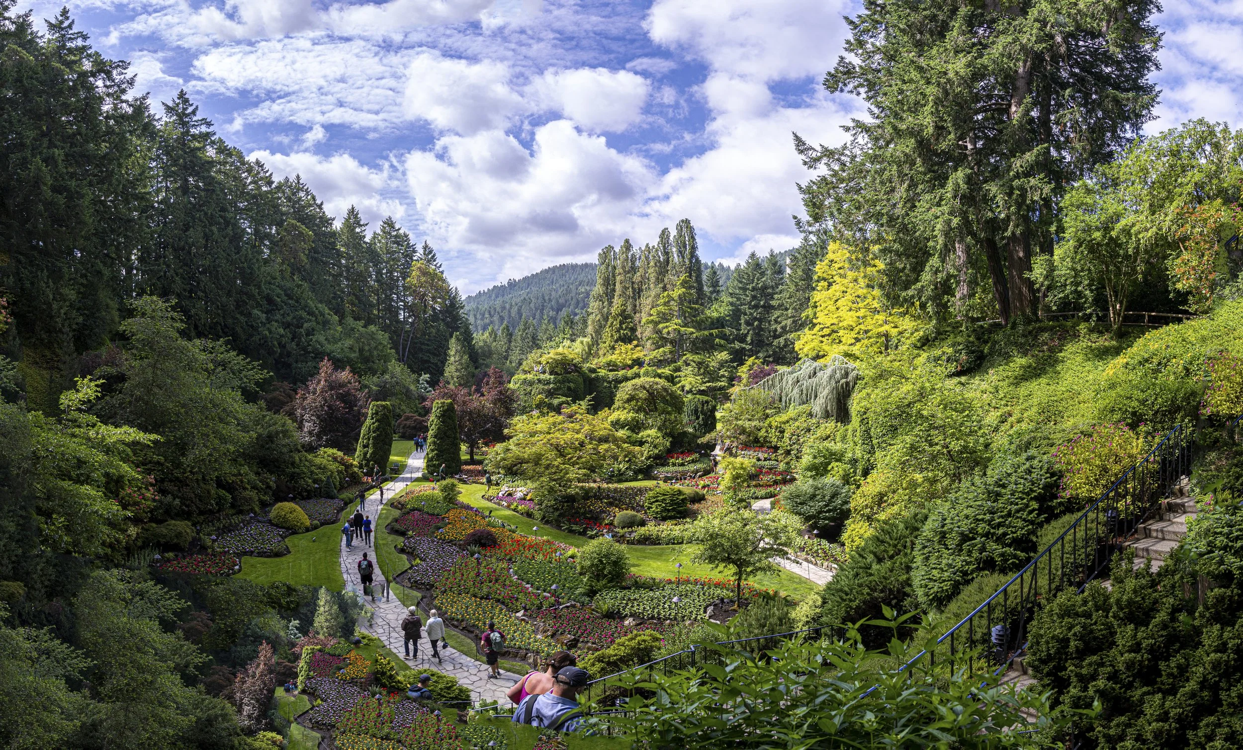  Butchart 7