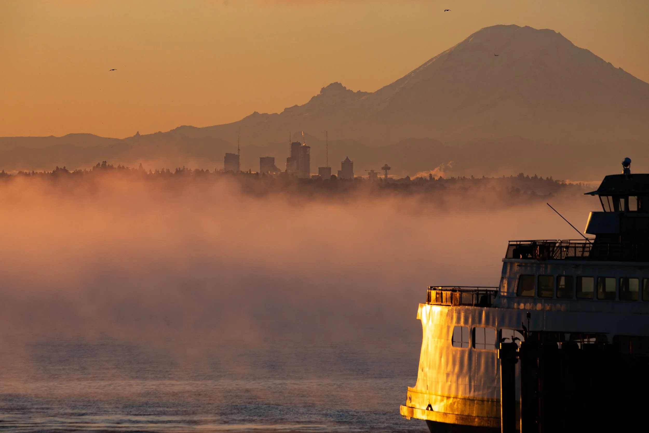 Warming the Port Side