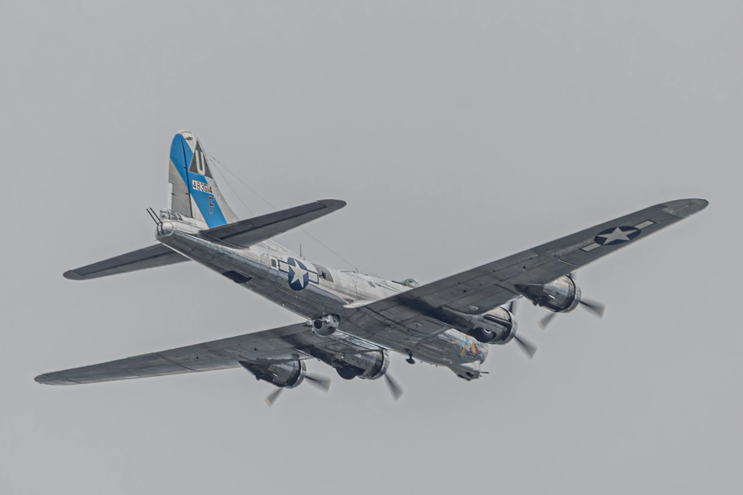 CJ5A4230.jpg