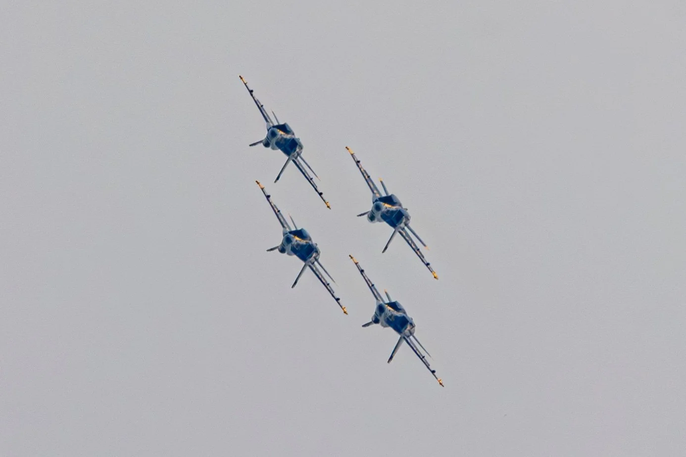 CJ5A6055.jpg