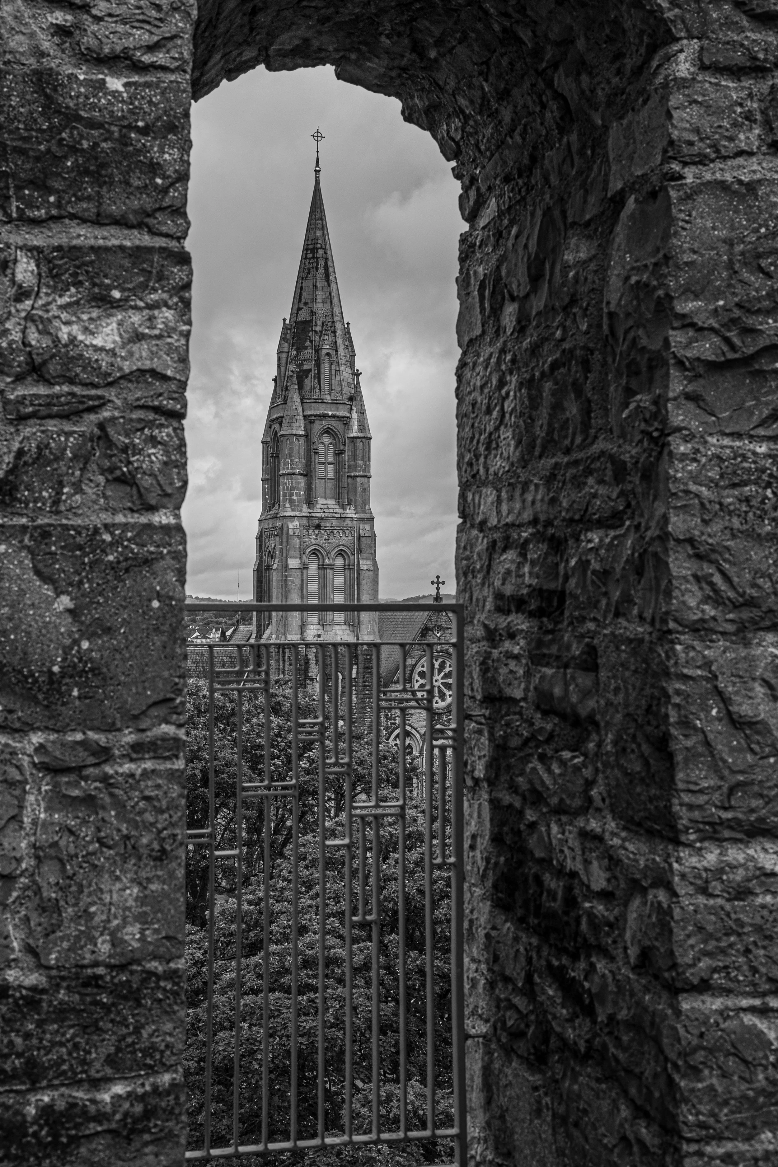 St Marys from the Nenagh Castle