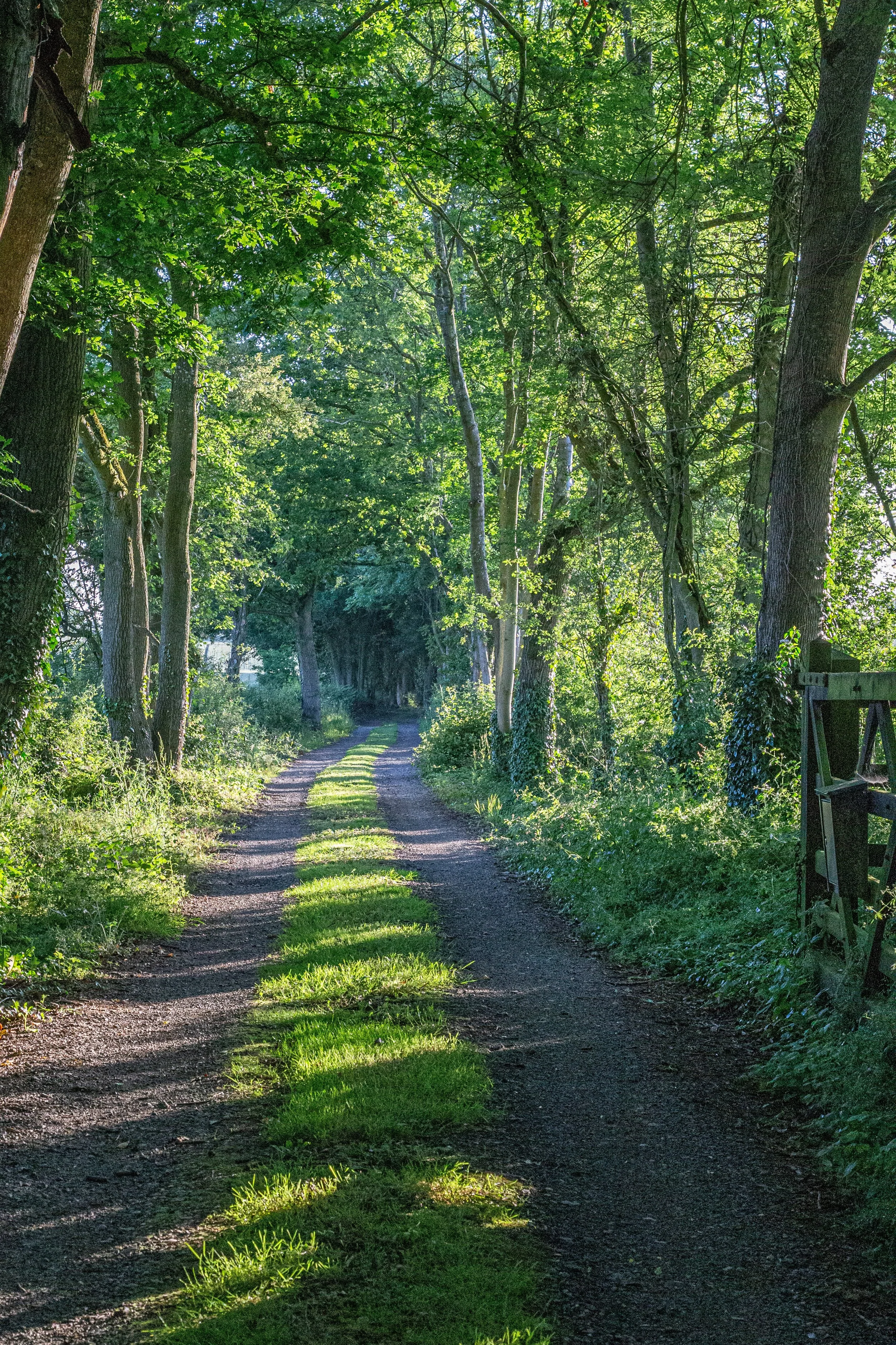 Cotswolds Backroad
