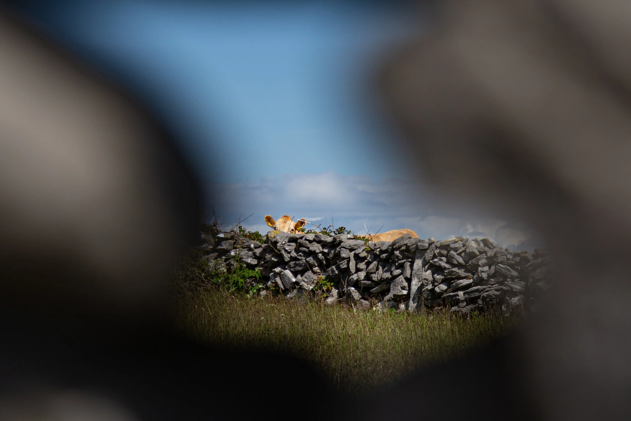 Inishmore 3