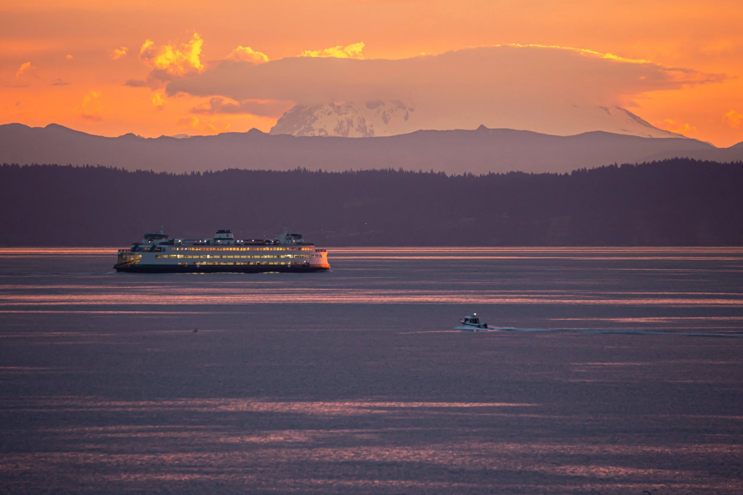 Rain in the Forecast