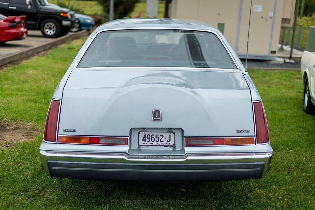 Rear view of a vintage white Isuzu Pickup truck parked on a grassy area.