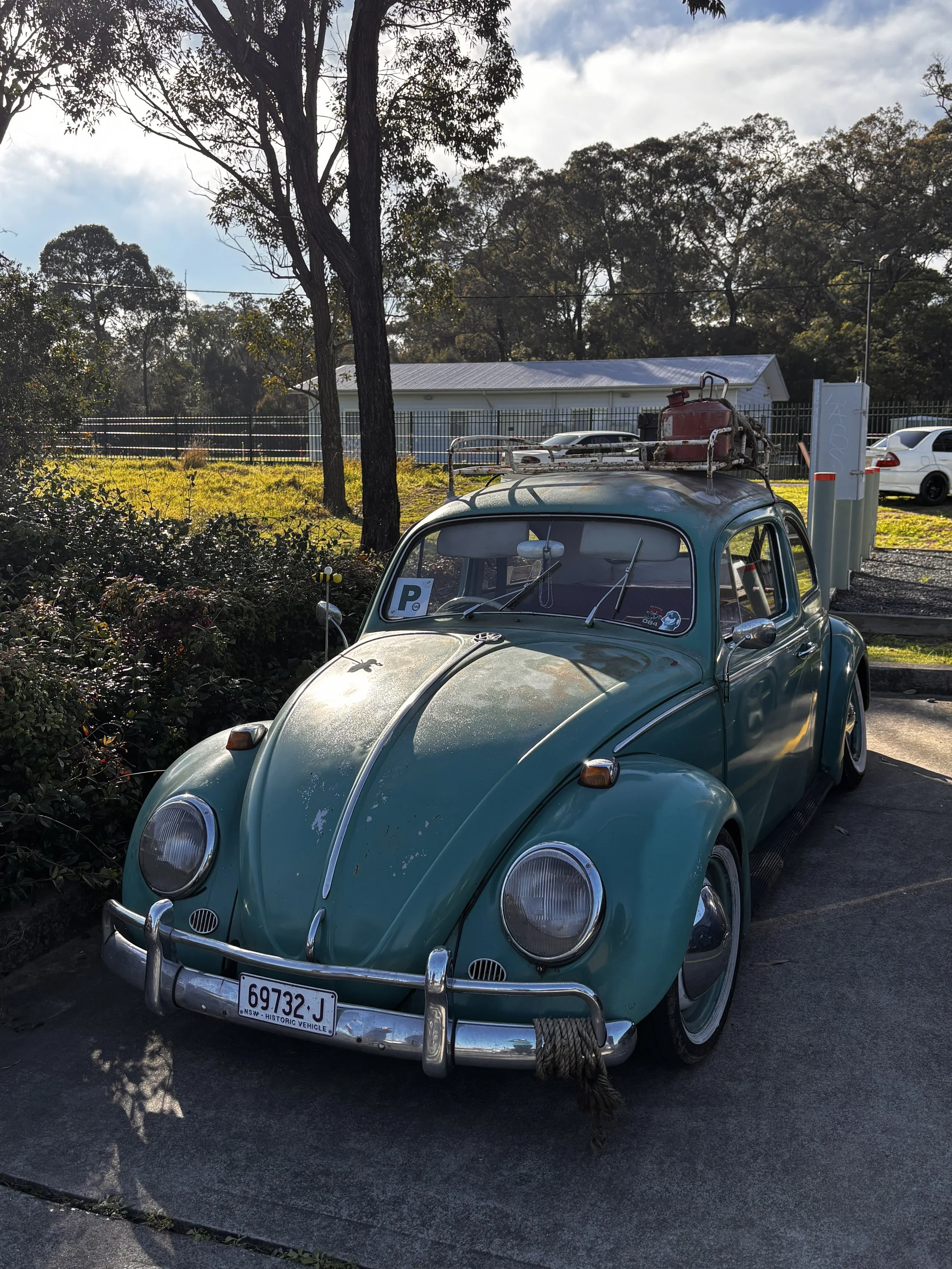 A vintage blue Volkswagen Beetle parked on the side of a street, with a parking permit on the windshield and a fluffy black and white dog sitting near the front bumper. Trees, cars, a fence, and a building with a metal roof are visible in the backgro
