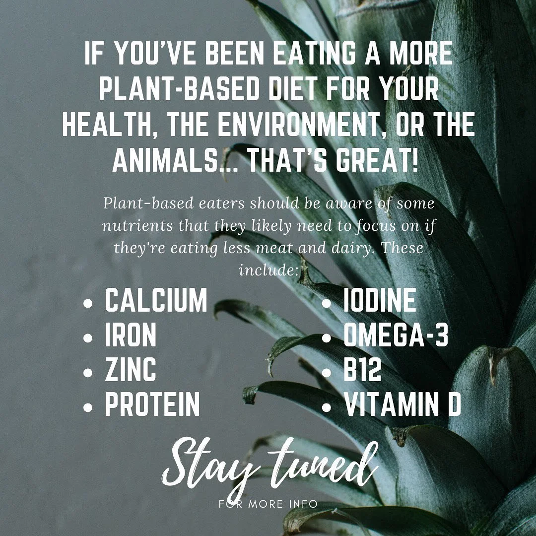 Stay tuned for more info on each of these important nutrients. I&rsquo;m creating lists for you with sources of these nutrients. They will be downloadable from my website! (link in bio)