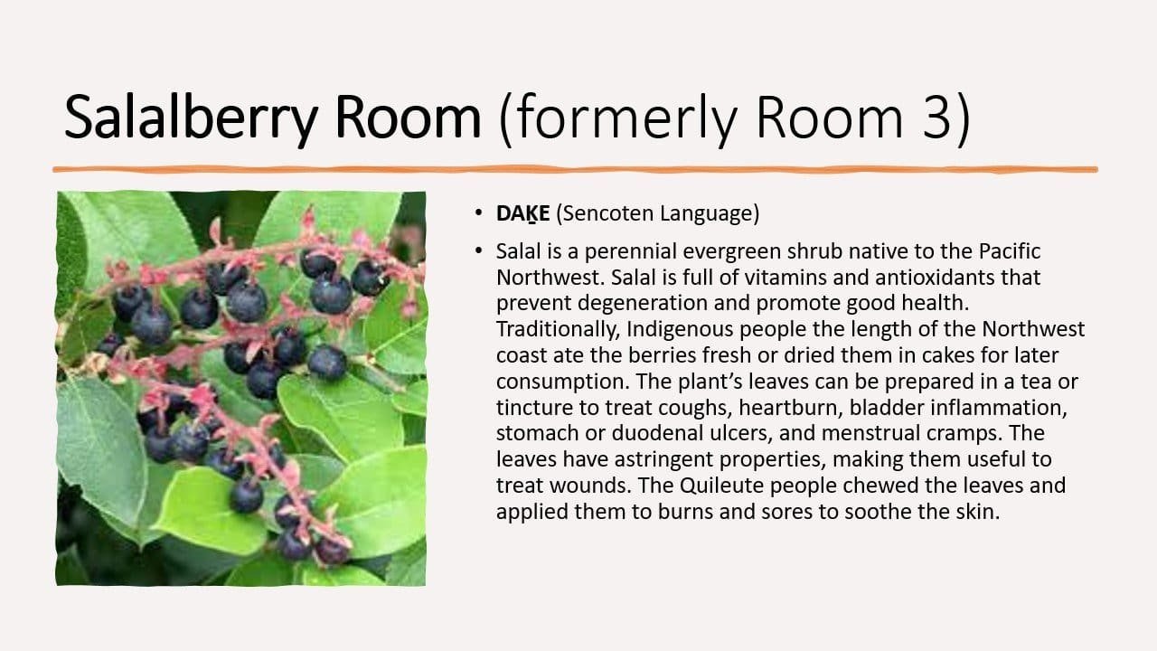 Renaming our MPNH Rooms - Slide3.jpg