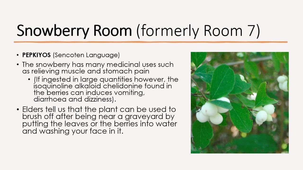 Snowberry Room