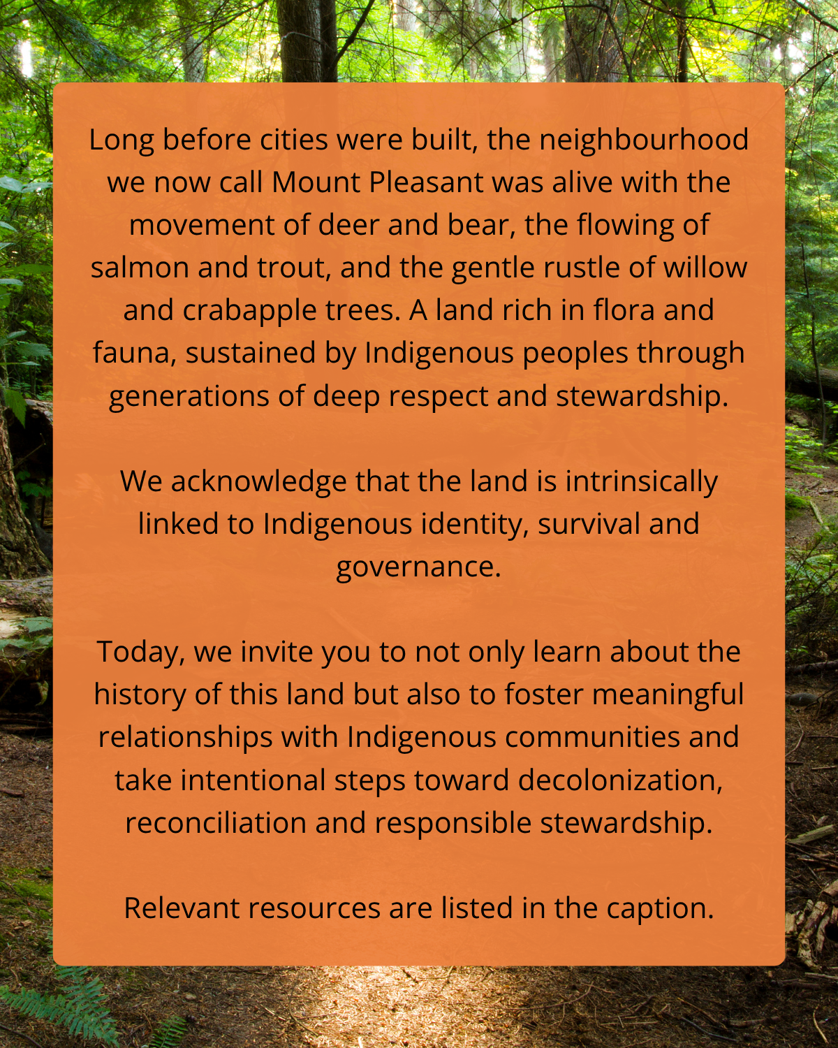 July 1st Statement - 2025 - MPNH - 2 .png
