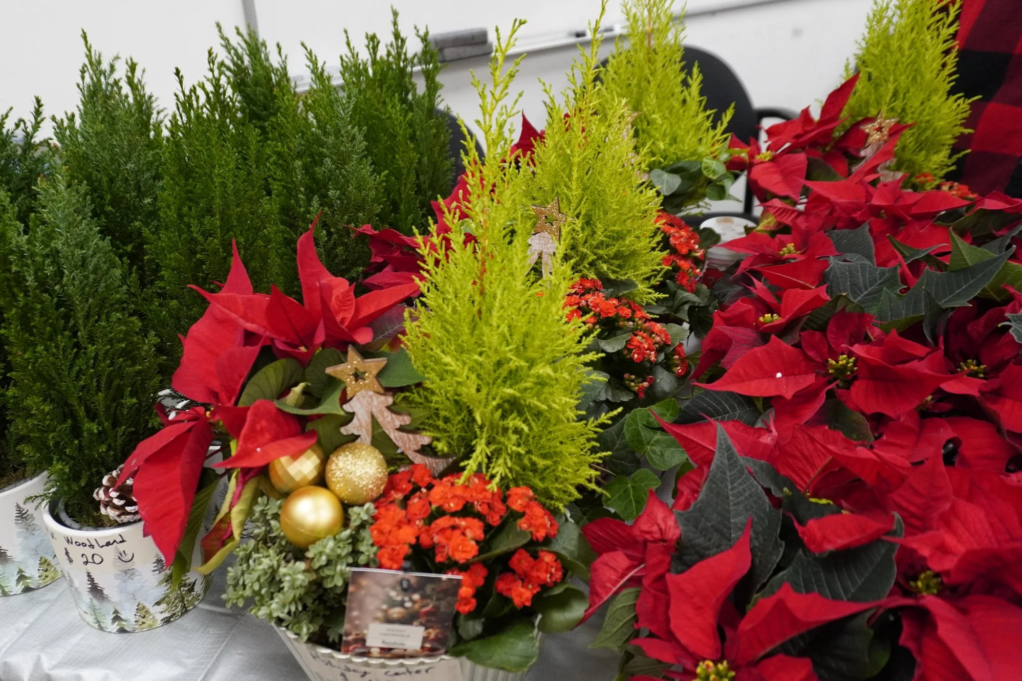 Holiday Market 2025 at Mount Pleasant Neighbourhood House