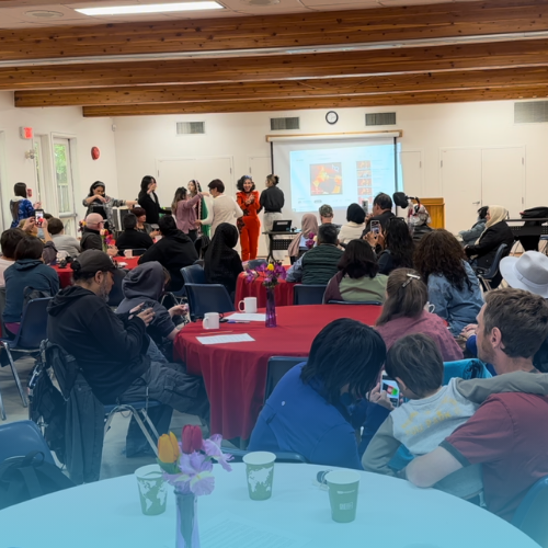 3 - Celebrating Afghan Culture - Blogpost - Newcomers.png