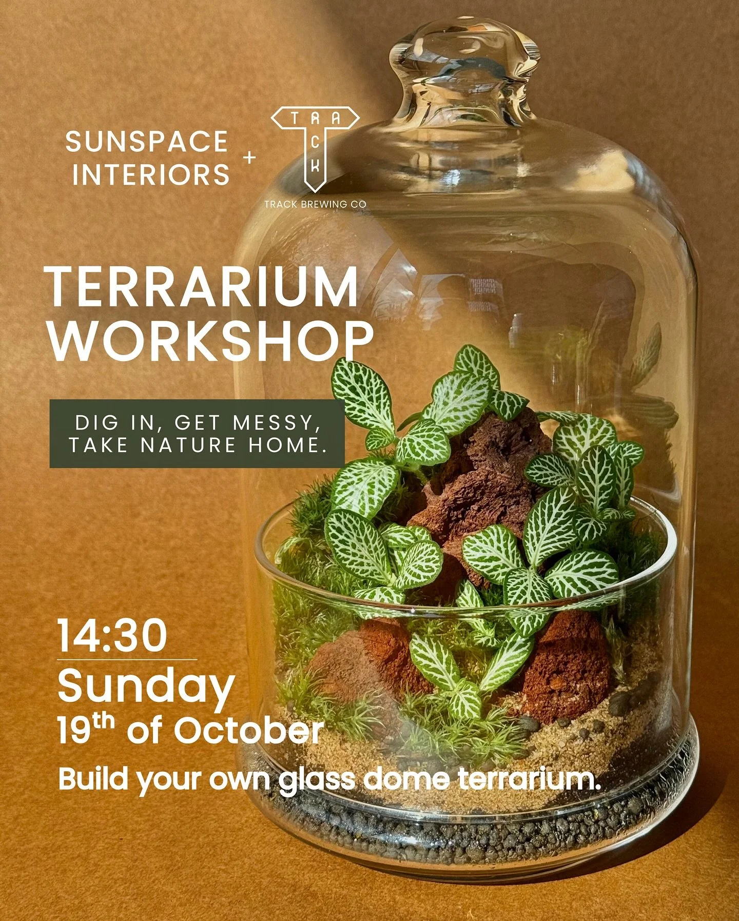 We’re back at @trackbrewingcotaproom this autumn with another hands-on terrarium building workshop! After a brilliant summer of sold-out sessions, join us on Sunday 19th October at 14:30 for a cosy afternoon of plants, pints and creativity. 🍻✨