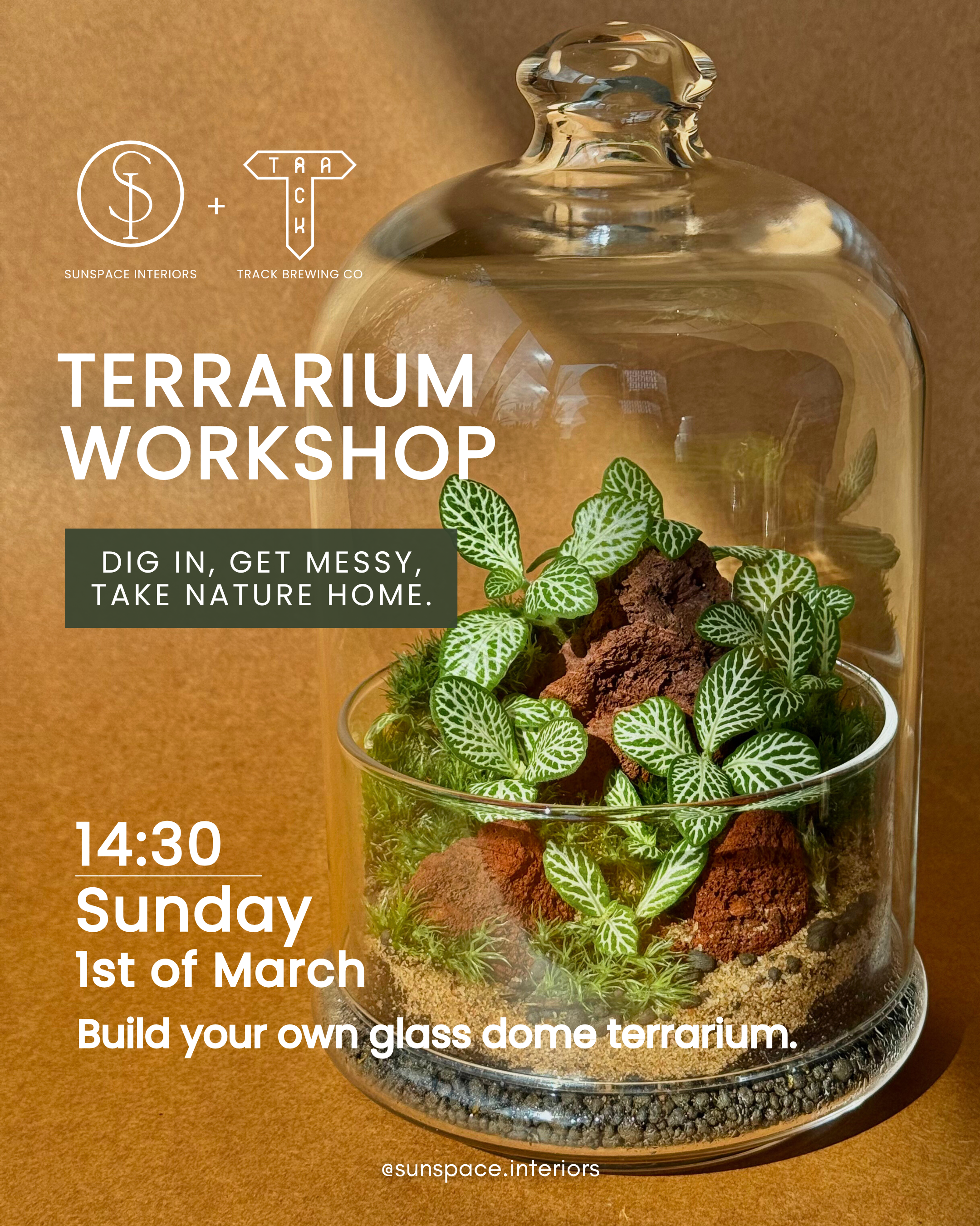 Beginner's Terrarium Workshop