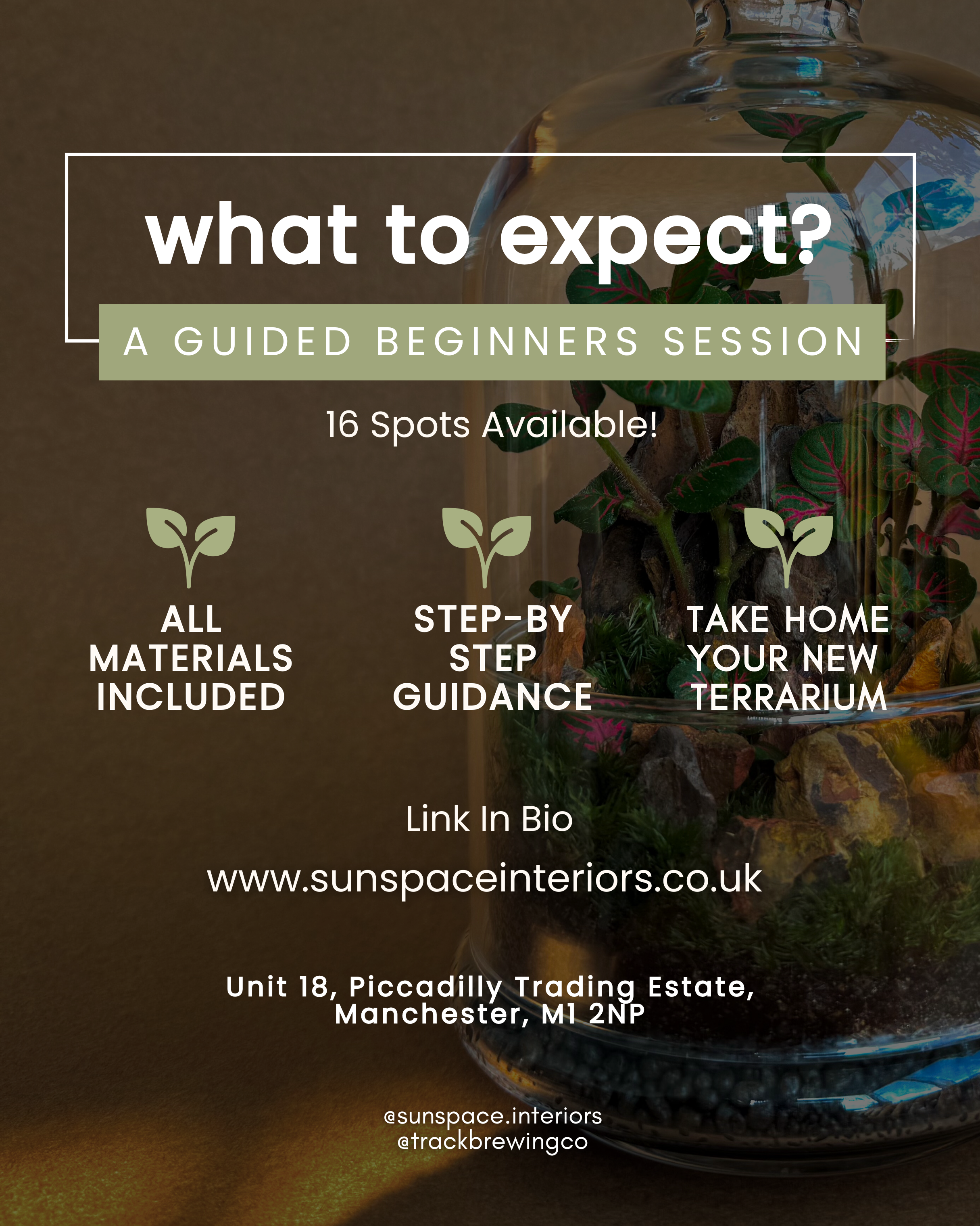 Promotional flyer for a beginner terrarium workshop with a background image of a terrarium containing plants, soil, and rocks. The flyer includes text about the session, such as 'what to expect?', 'A guided beginners session', '16 spots available', a