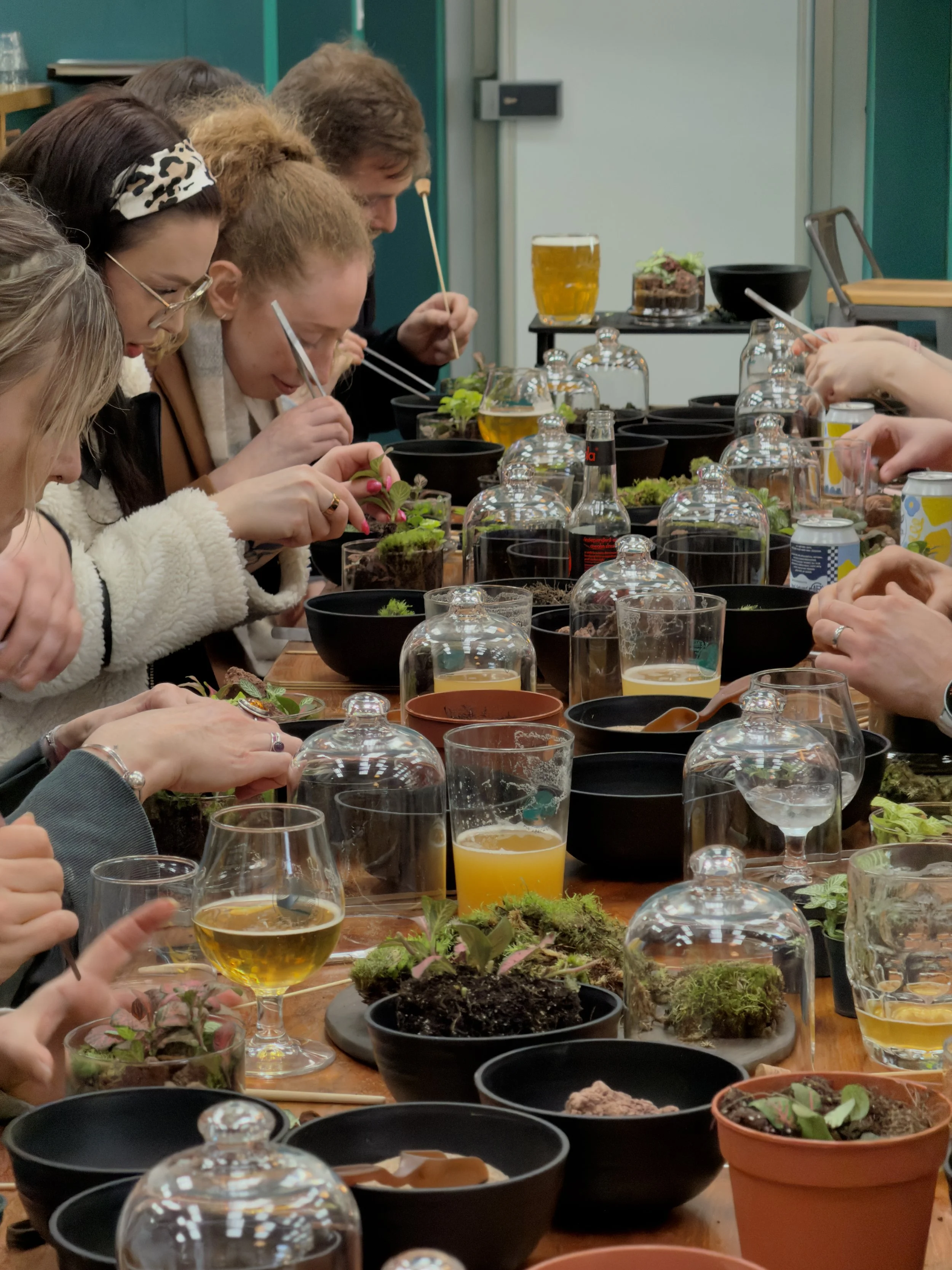 People gathered around a table engaging in a terrarium-building class. The table is filled with potted plants, glass domes, bowls, and drinks.