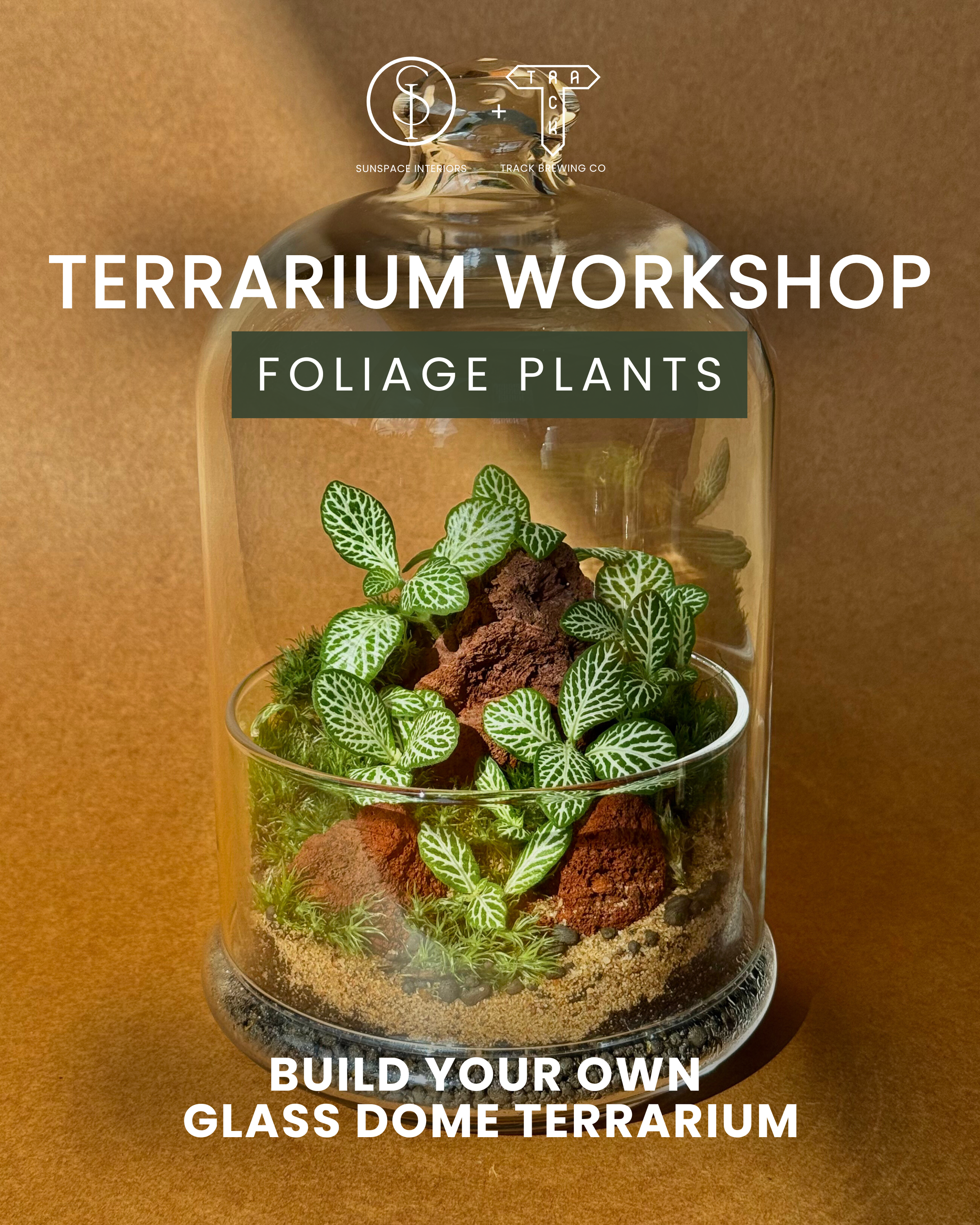 Beginner's Terrarium Workshop