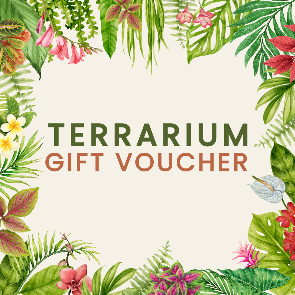Terrarium Gift Voucher